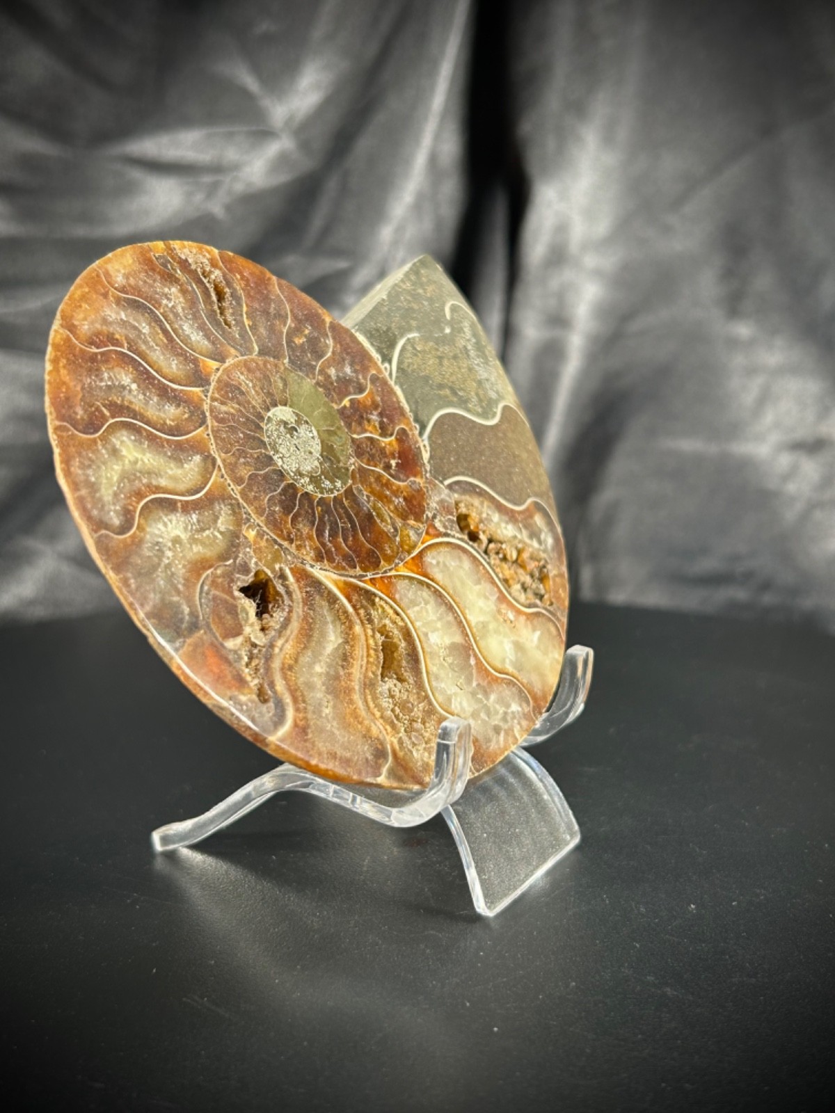 4.32″ Sliced Ammonite Half With Acrylic Stand 5.5oz (157 grams)