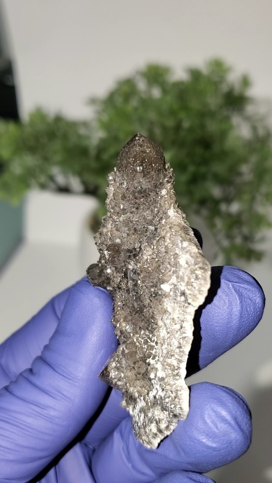 Black Spirit Quartz Cluster Specimen (Fairy Quartz) South Africa 34g