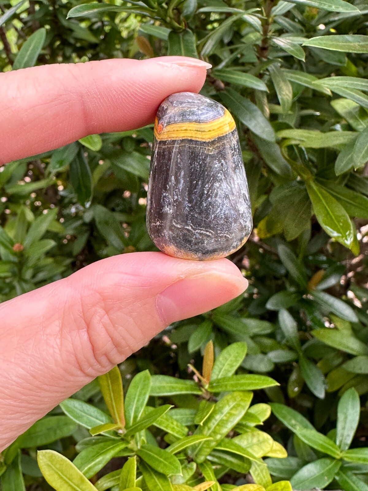 Grade A++ Bumblebee Jasper Tumbled Stones, 0.85-1″ Tumbled Bumblebee Jasper