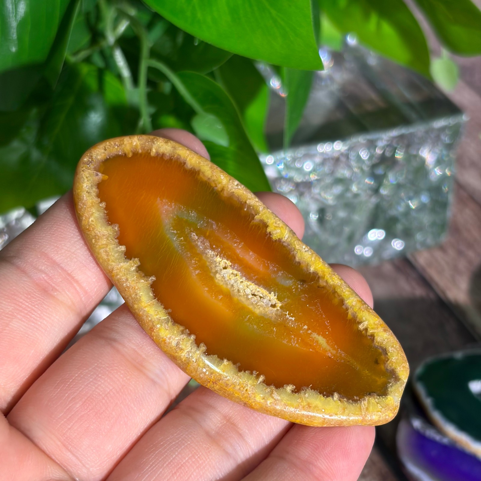 Agate Slices Bulk Lot – Random Colors & Shapes – Min 100g Guaranteed