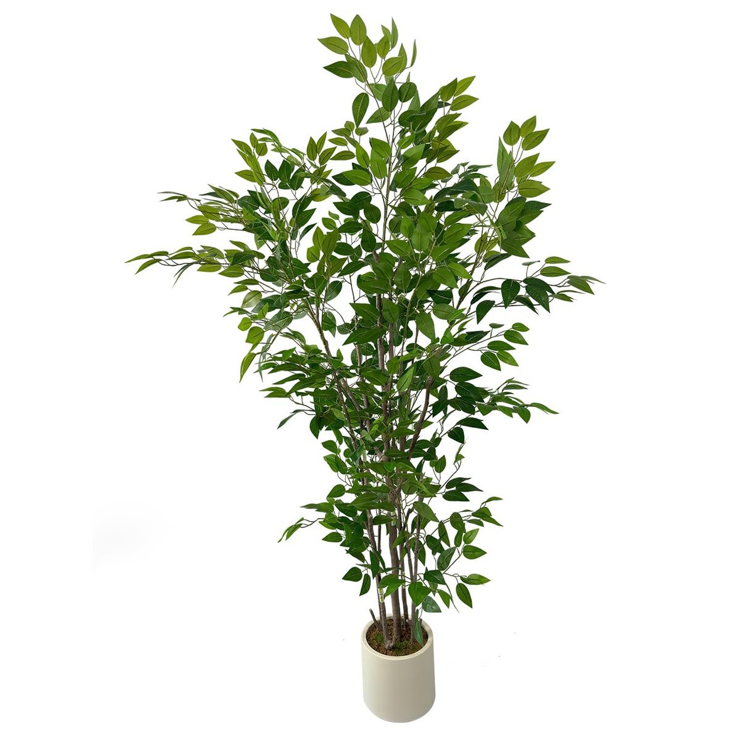 6ft Tall Artificial Ficus Tree- Fake Green Tree in White Plastic Planter, Eas…