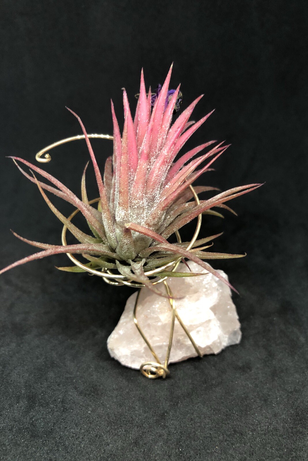 Rose Quartz Air Planter, Attract love, Crystal Air Plant