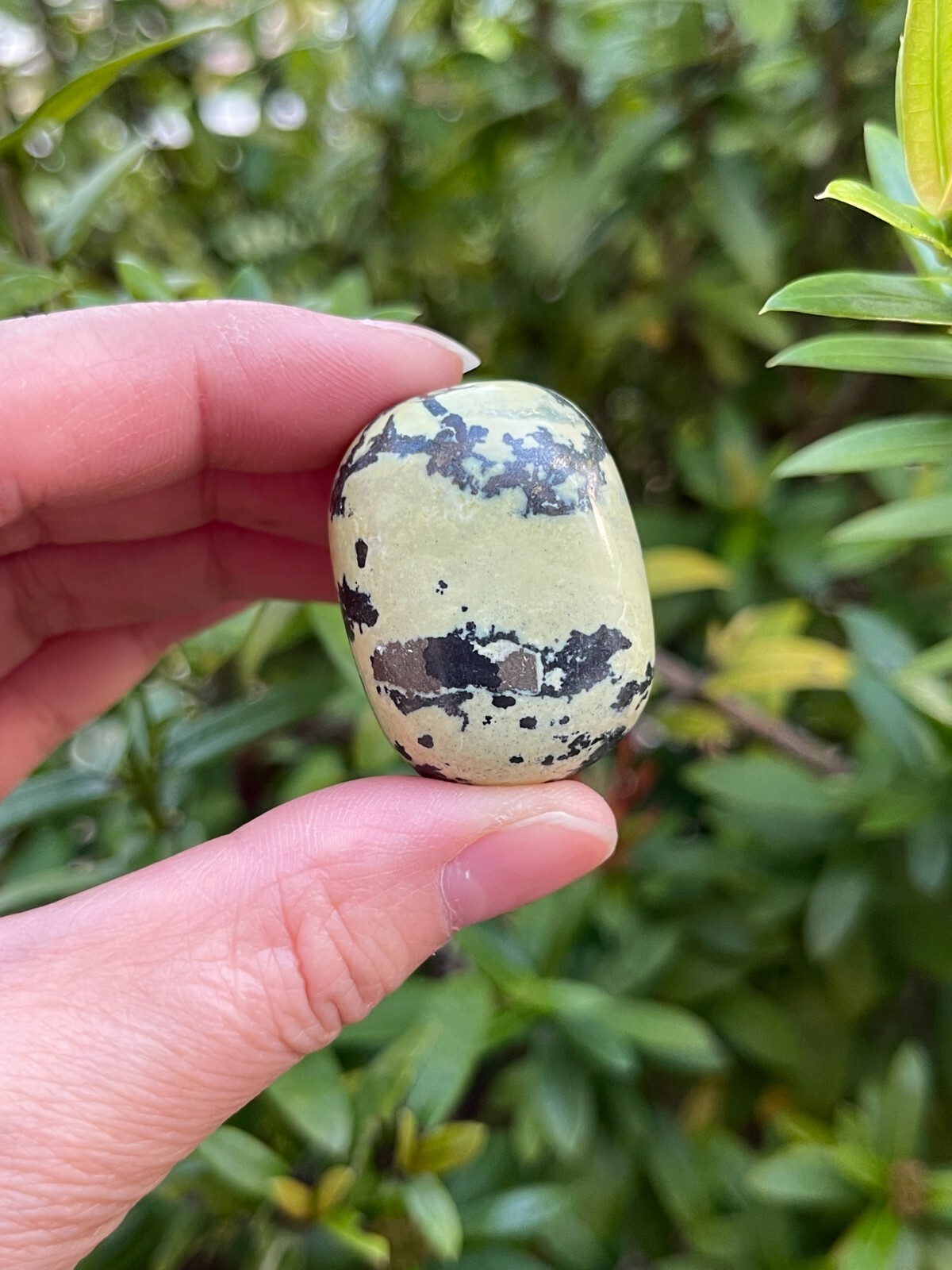 Grade A++ Serpentine Tumbled Stones, 1-1.25 Inch Tumbled Serpentine Stones