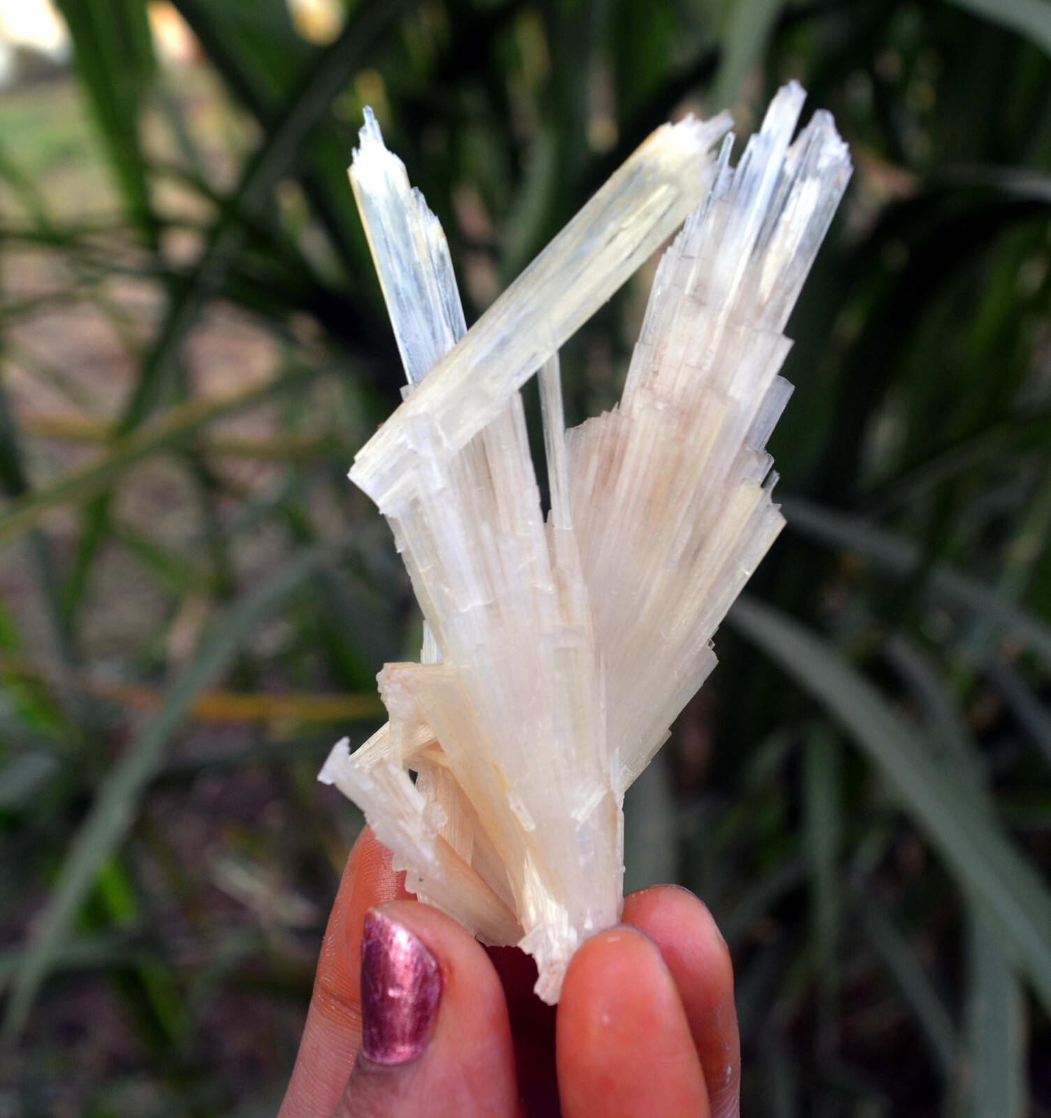 scolecite spray minerals specimen f-2