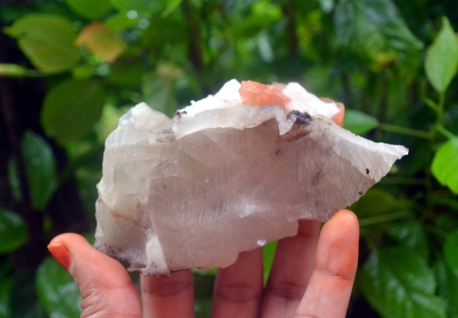stilbite crystals w/ calcite & matrix minerals specimen j-6