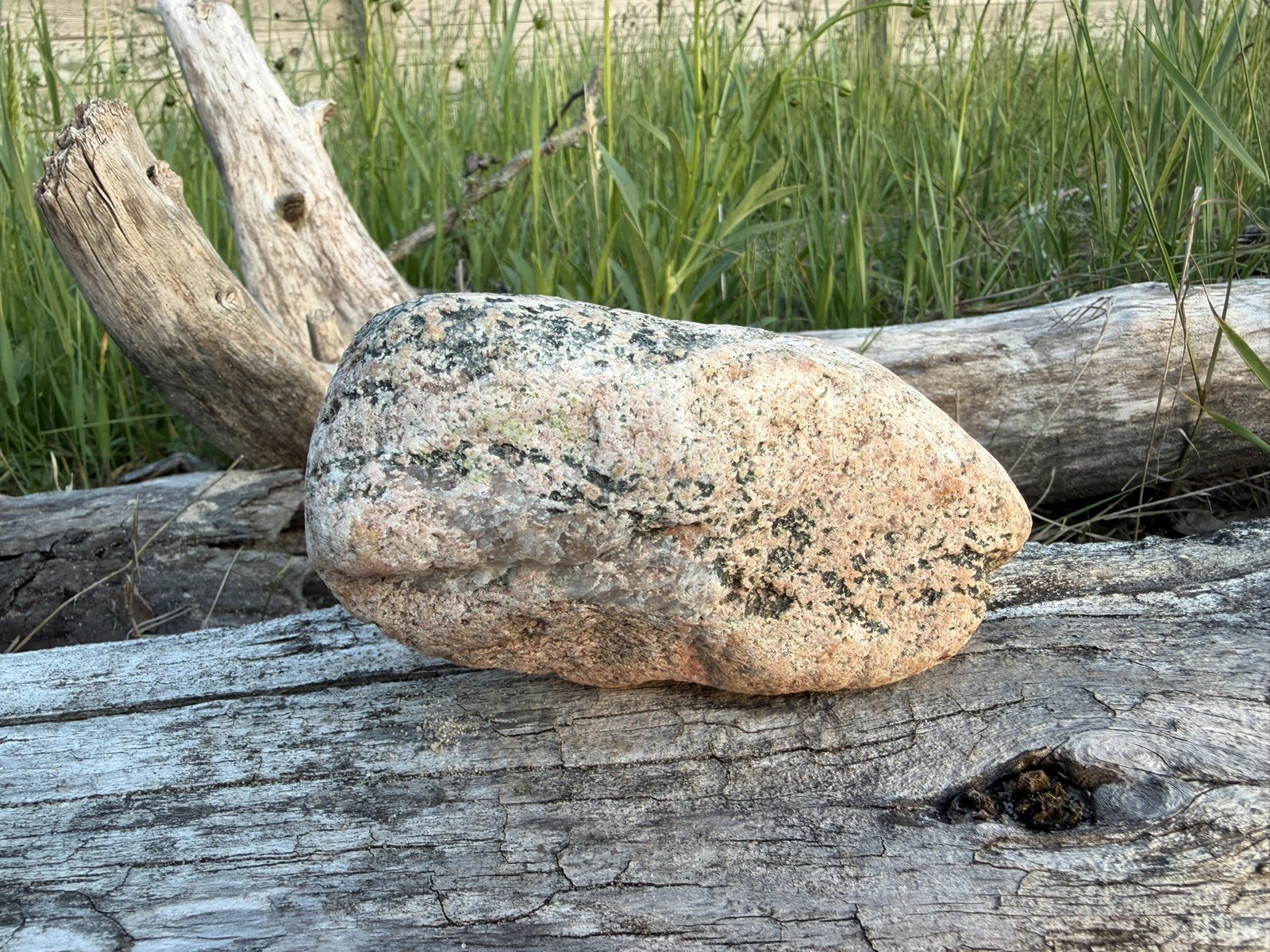 Natural Lake Michigan Rock Granite With Quartz LOOK! 👀 2lb+ READ CAREFULLY