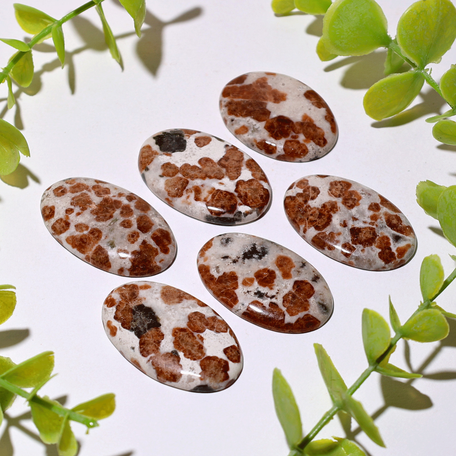 Fiery Blossoms – 6 PC Garnet In Wollastonite Crystals Set – Vitality & Strength