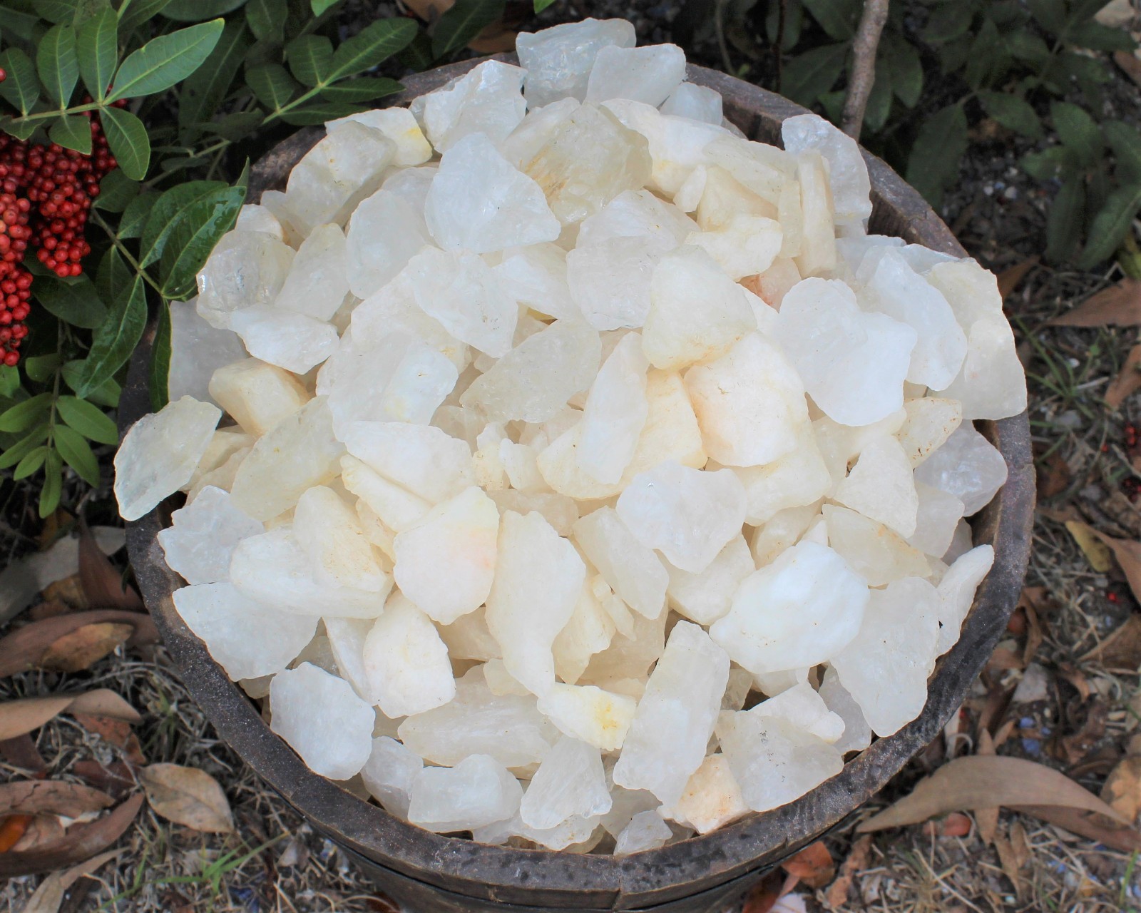 11 lb Wholesale Rough Stone Buckets – Chose Your Gemstone (Raw Crystal Bulk Lot)
