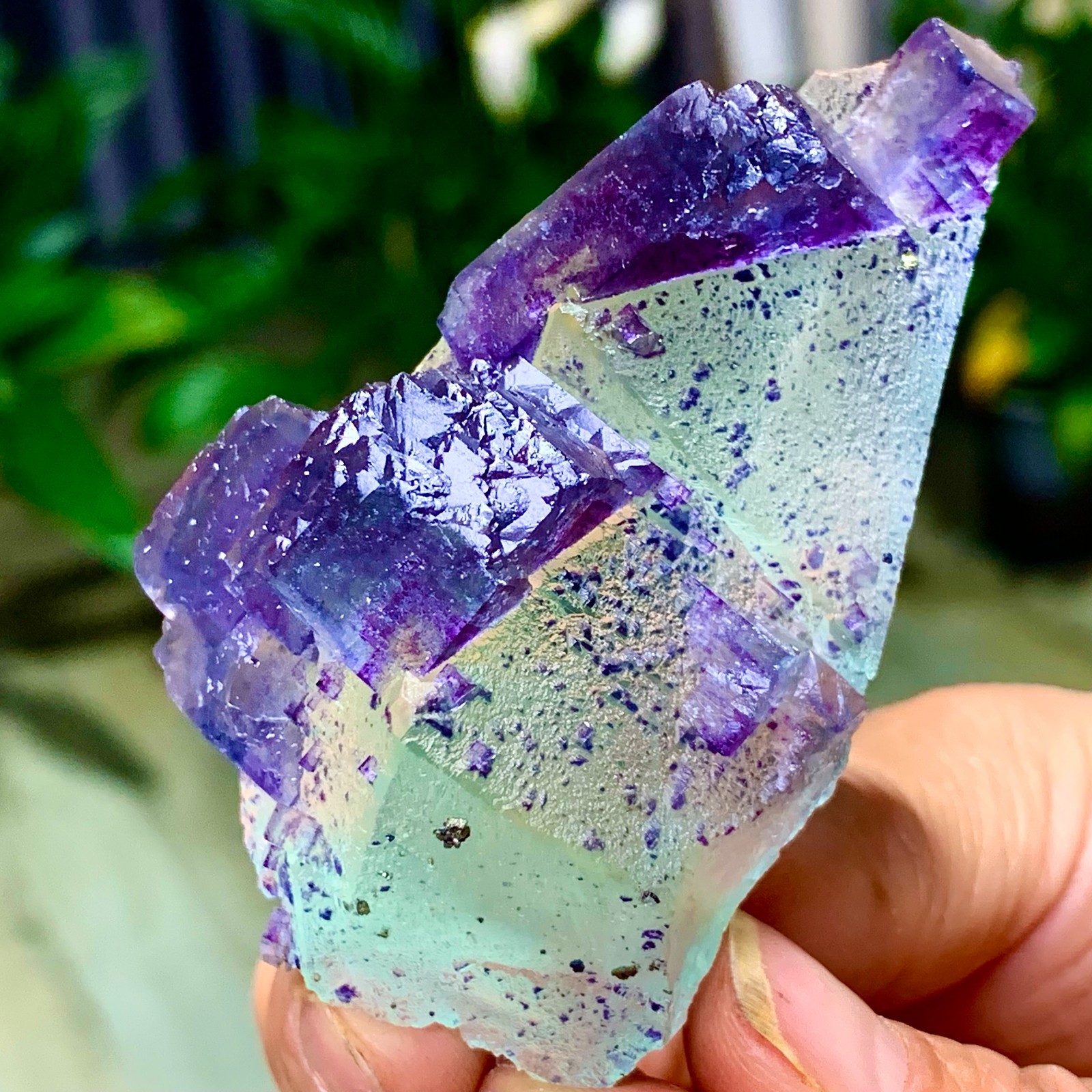 86G Rare transparent green purple cubic Zhejiang fluorite mineral sample