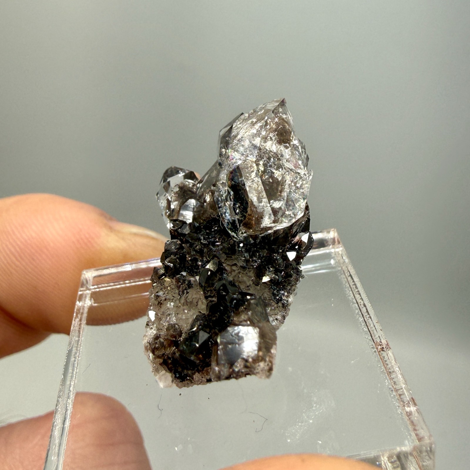 Herkimer Diamond Perchers on Rare Black+Gray Druze, Gem Points w/ Phantoms