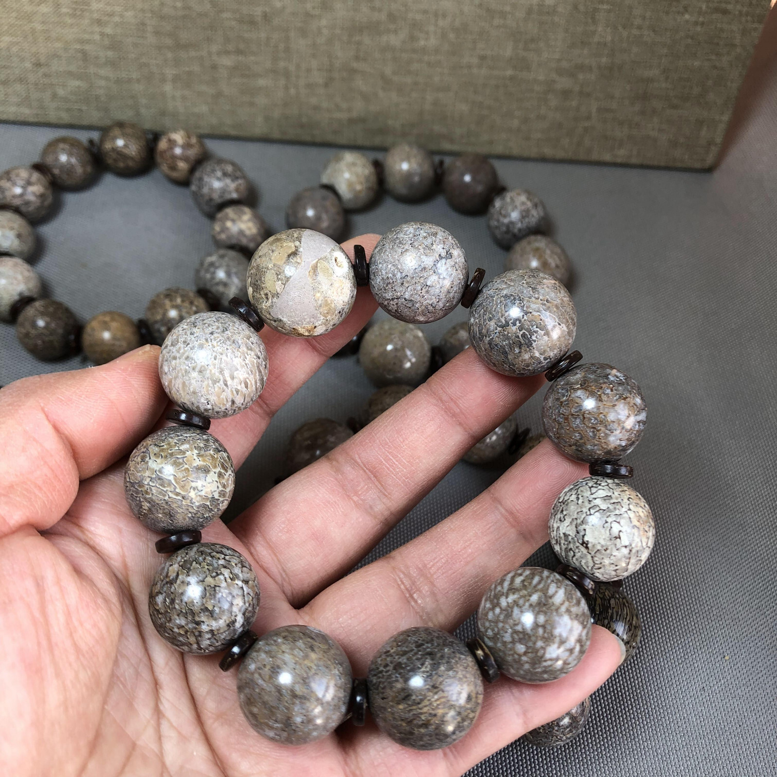 6Pcs Natural polished dinosaur bone bracelets specimen Madagascar 17-18-19mm