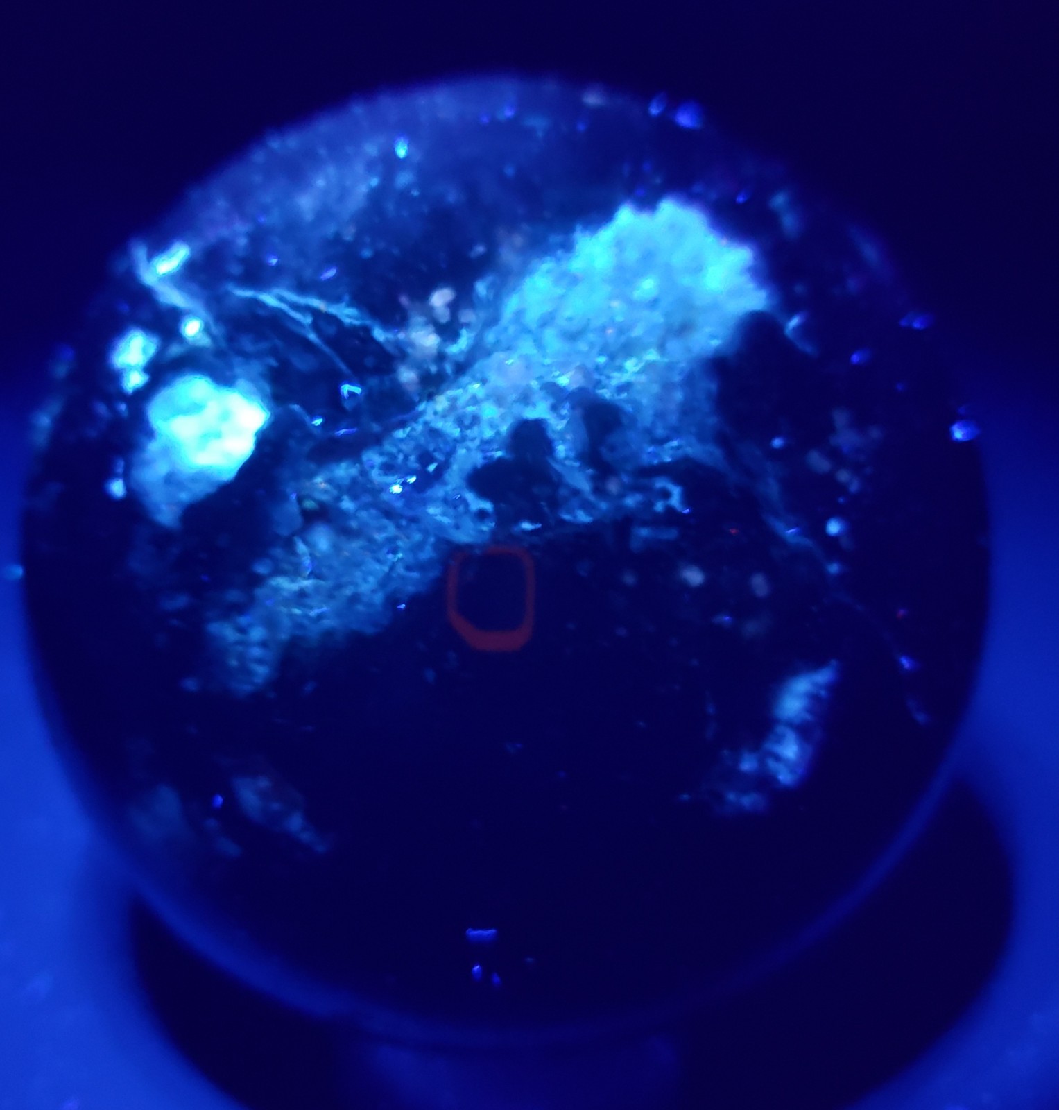 3″ Green Moss Agate Quartz Crystal Mineral Semi-Polished Sphere Ball Orb UV,532g