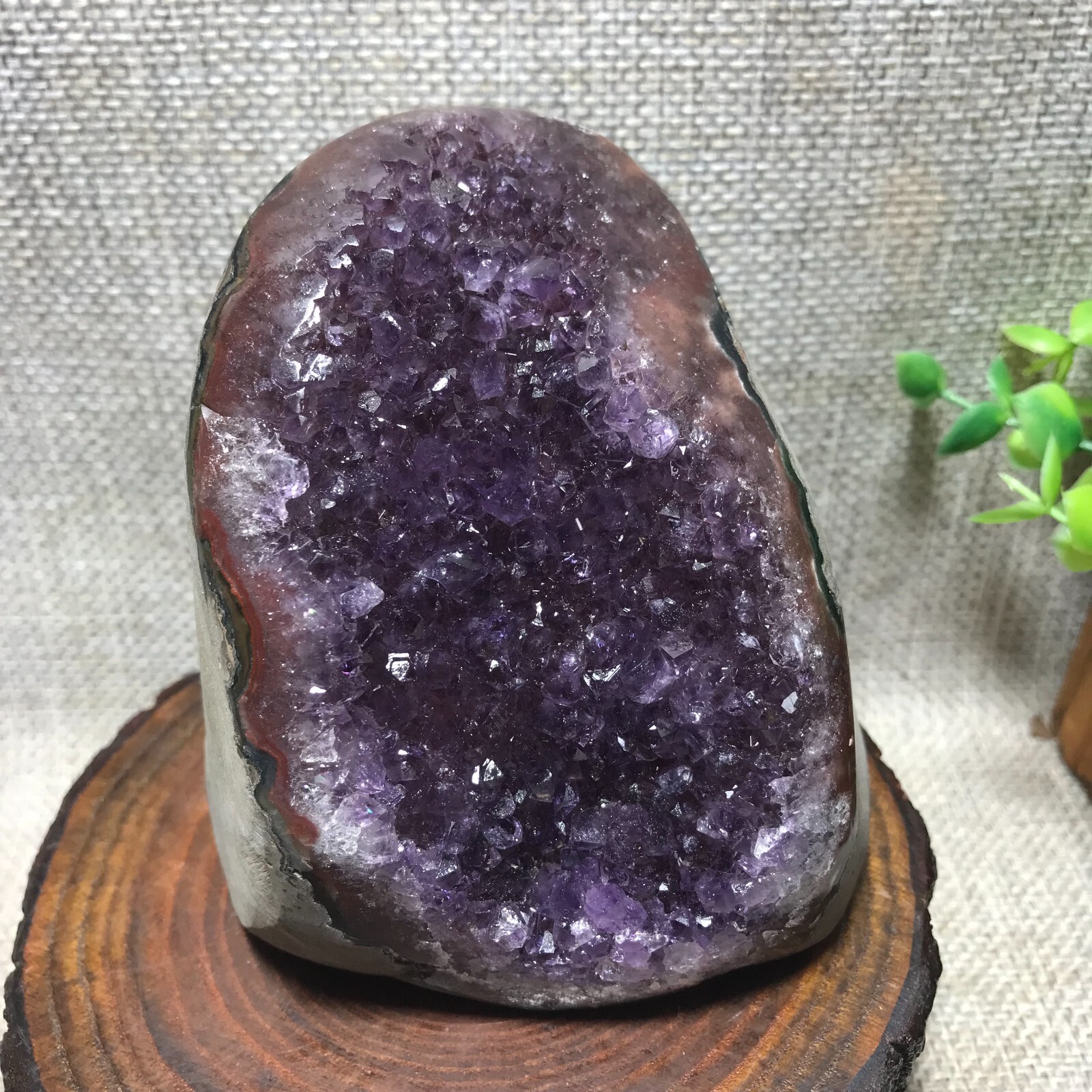 785g Natural Amethyst Cluster Geodes Cut Base Quartz Crystal Healing Specimen 66