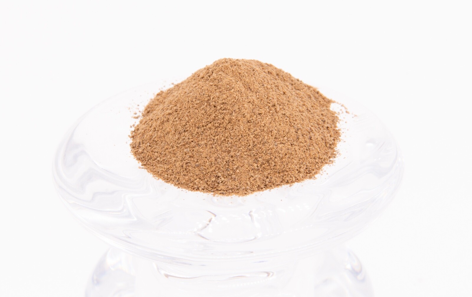 Tyrannosaurus Rex Bone – 100% Pure & Natural