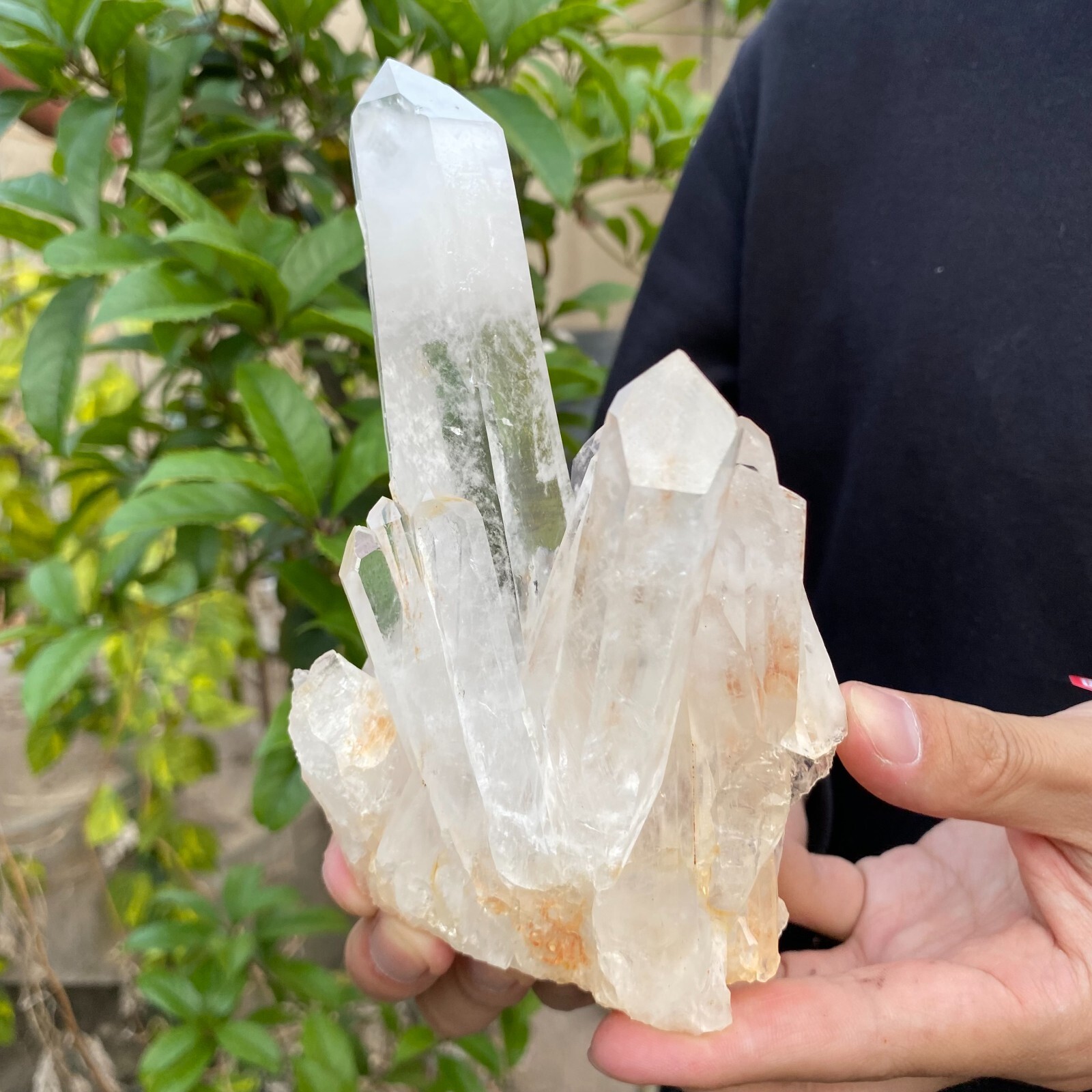 1.2lb Natural Clear White quart Crystal Cluster Raw Healing Specimen
