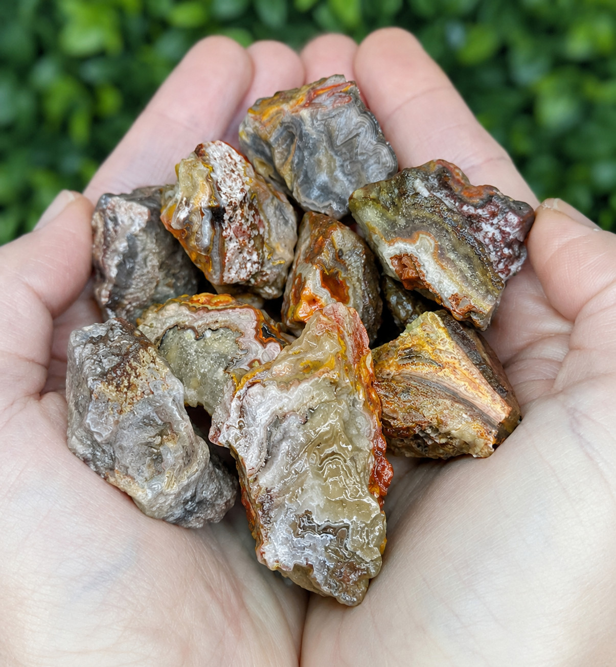 3Pcs Natural Mexican Crazy Lace Agate Rough Raw Stones Crystals Healing Specimen