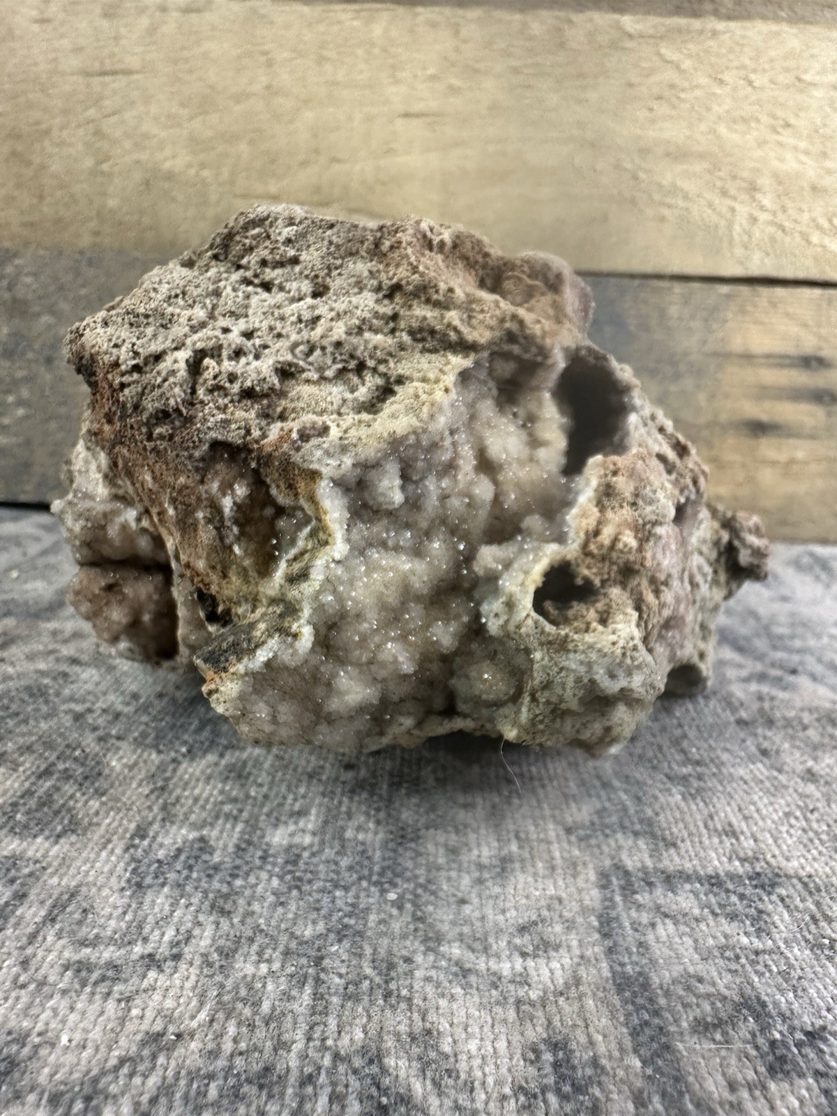 Missouri Natural Fossilized Coral Druzy Quartz Crystal Terrarium Display