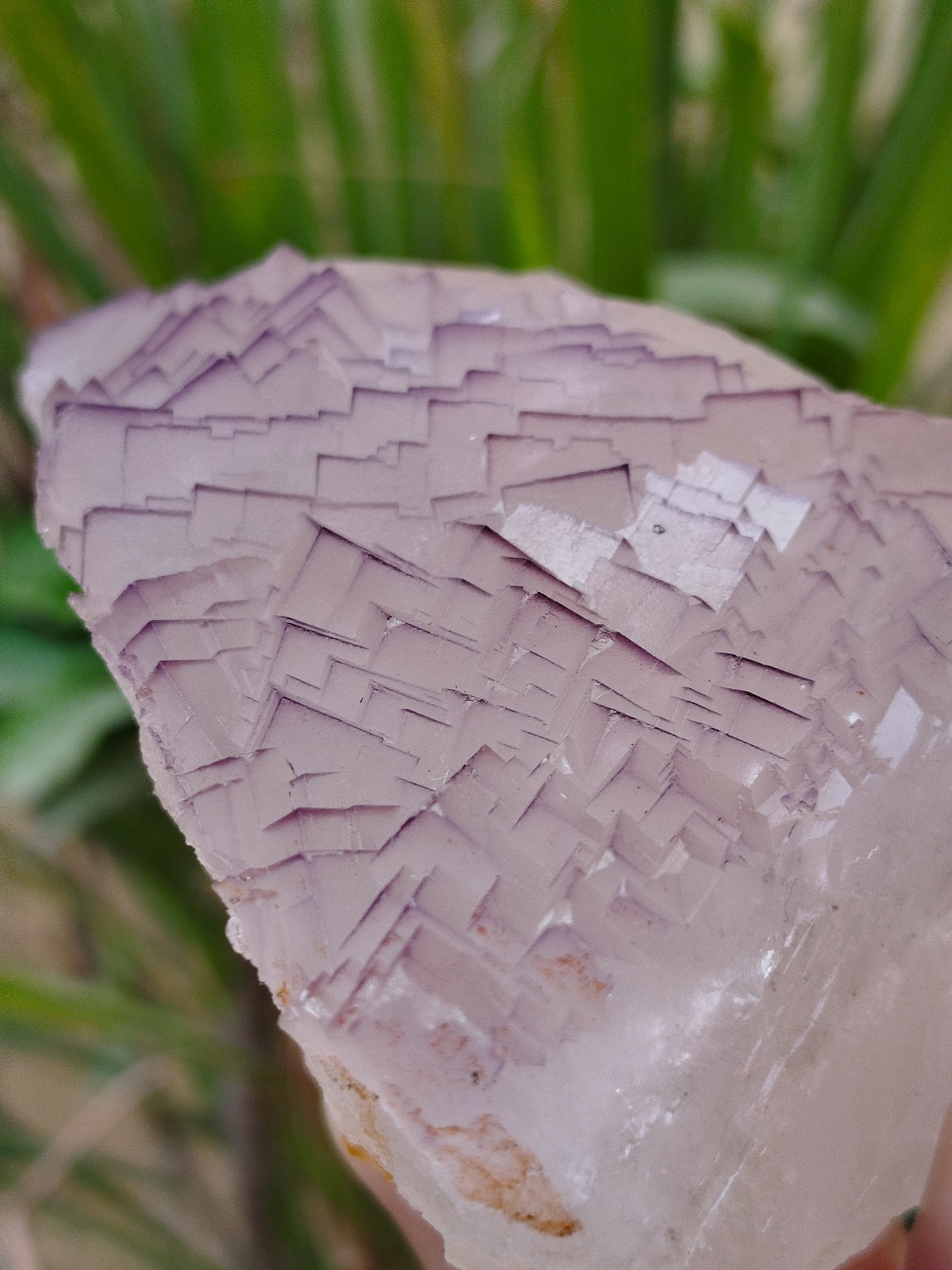 630g Natural Step Wise Cubic Fluorite Purple Lining Crystals Mineral Specimen