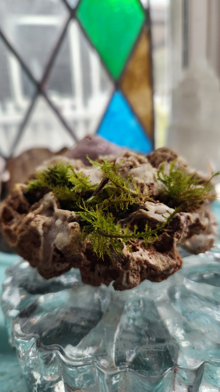 Druzy Quartz Rock Natural Planter Moss Or Succulent Bonne Terre Missouri