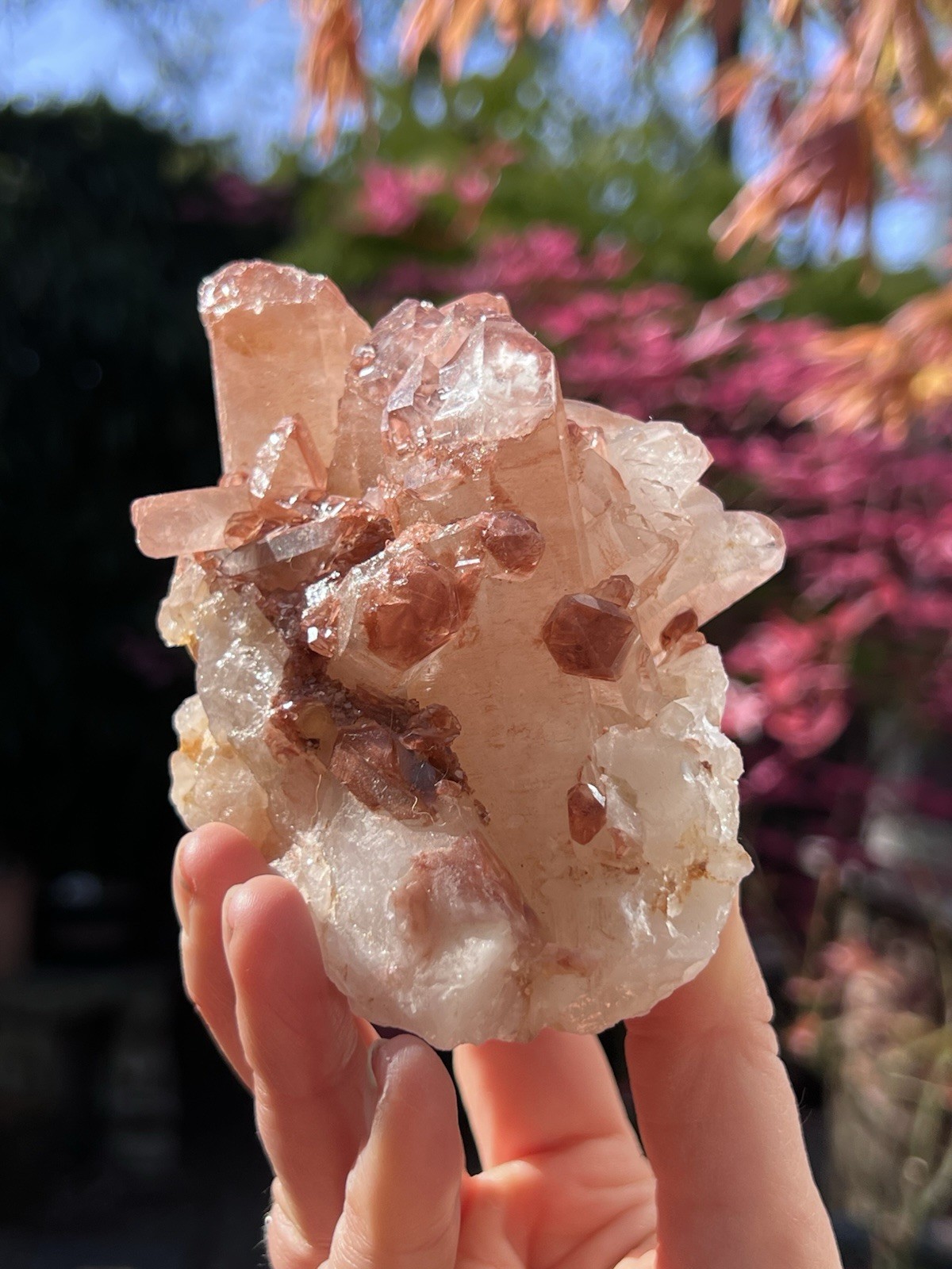 Lithium Quartz Large Cluster AAA+ : Master Healer Clarity 449g 7