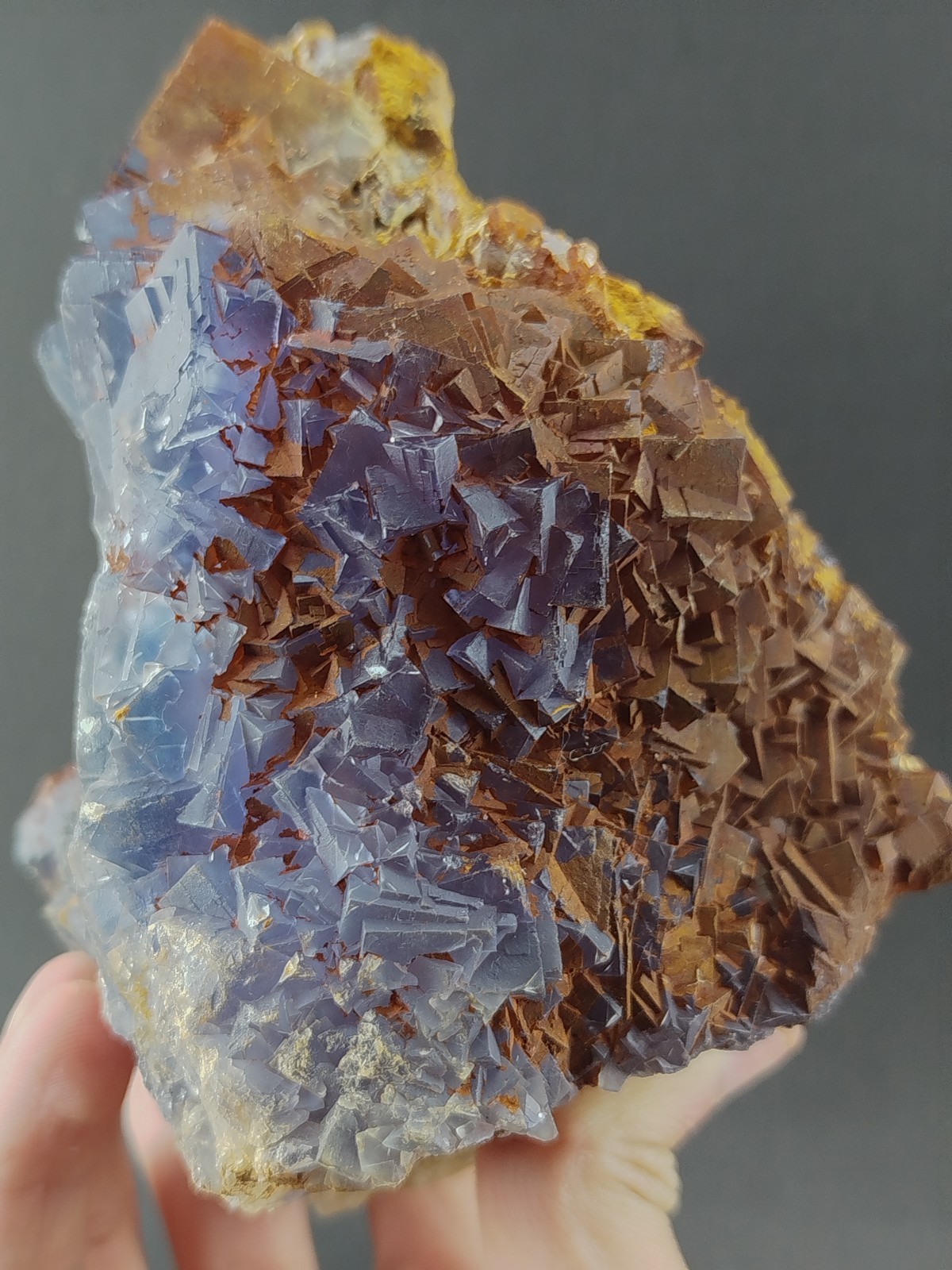 3.53lbs Natural Cubic Dark Blue Phantom Fluorite Crystal Mineral Specimen