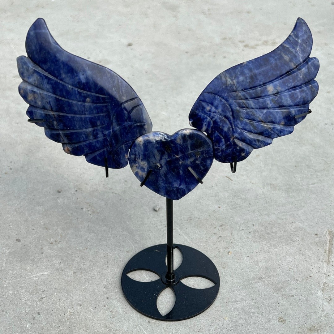 Natural Sodalite Angel of Love wings skull quartz crystal Skull Random+ Stand
