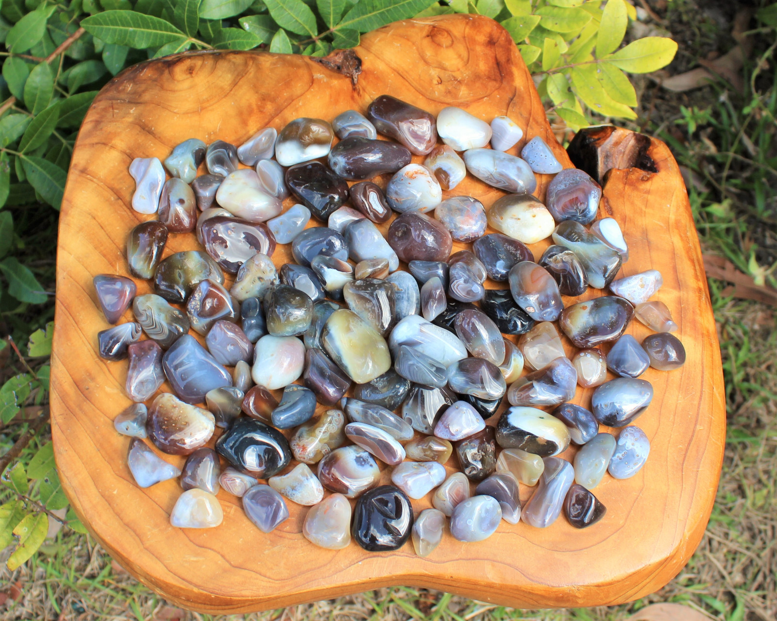Botswana Gray Tumbled Stone: Choose How Many Pieces (Premium Quality ‘A’ Grade)