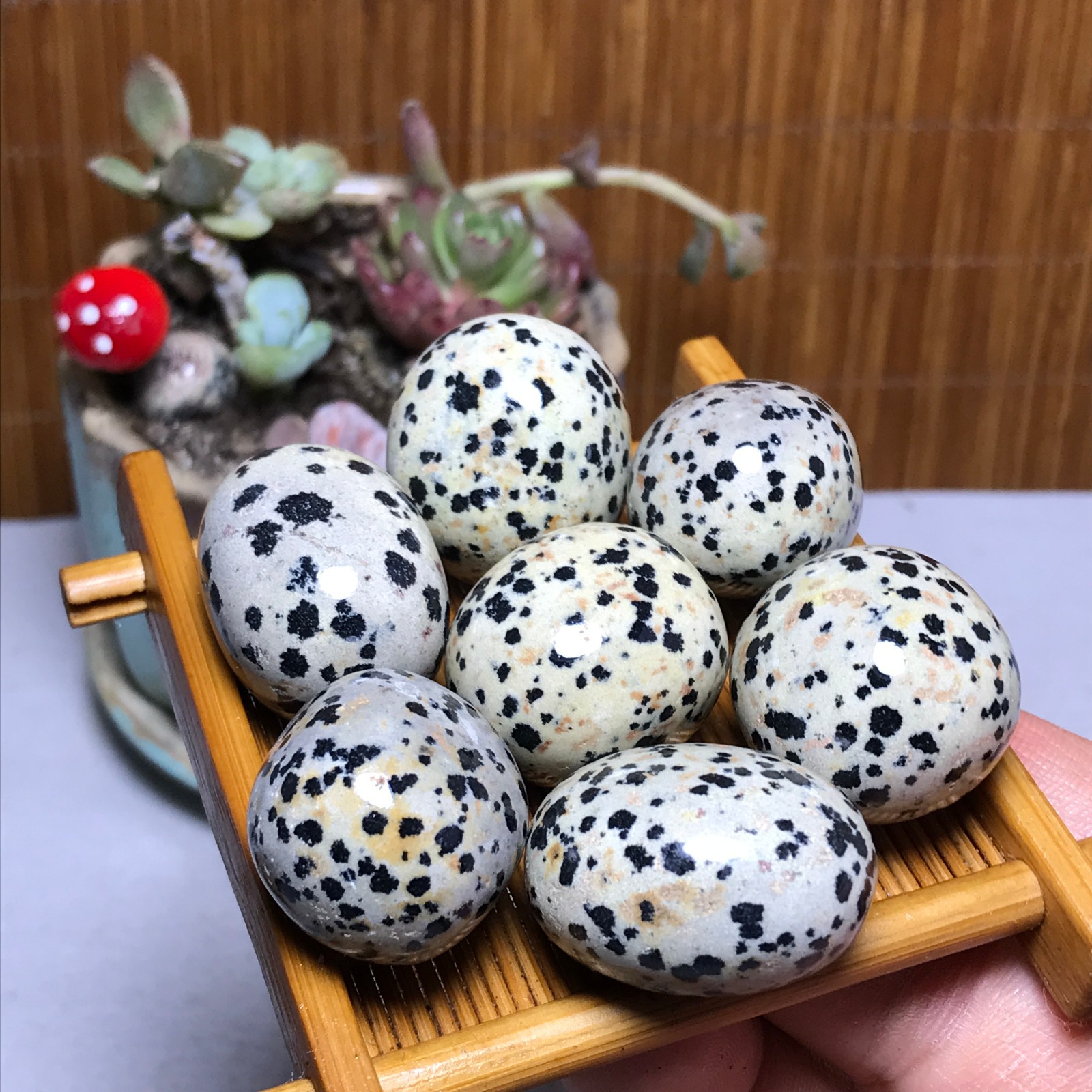 25-22-22mm 7Pcs Natural spotted stone Crystal gemstone Mineral Specimen A4408