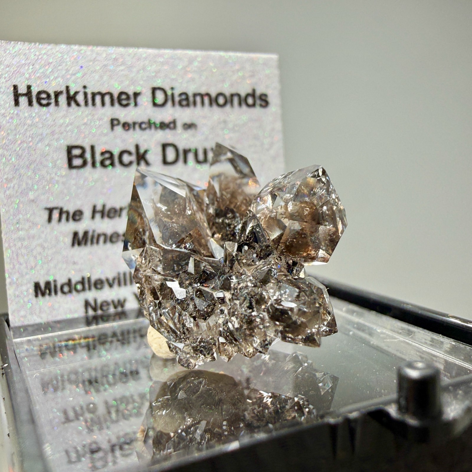 Herkimer Diamond Gems Perched on Druzy Matrix, Complete Floater, Top Shelf Piece