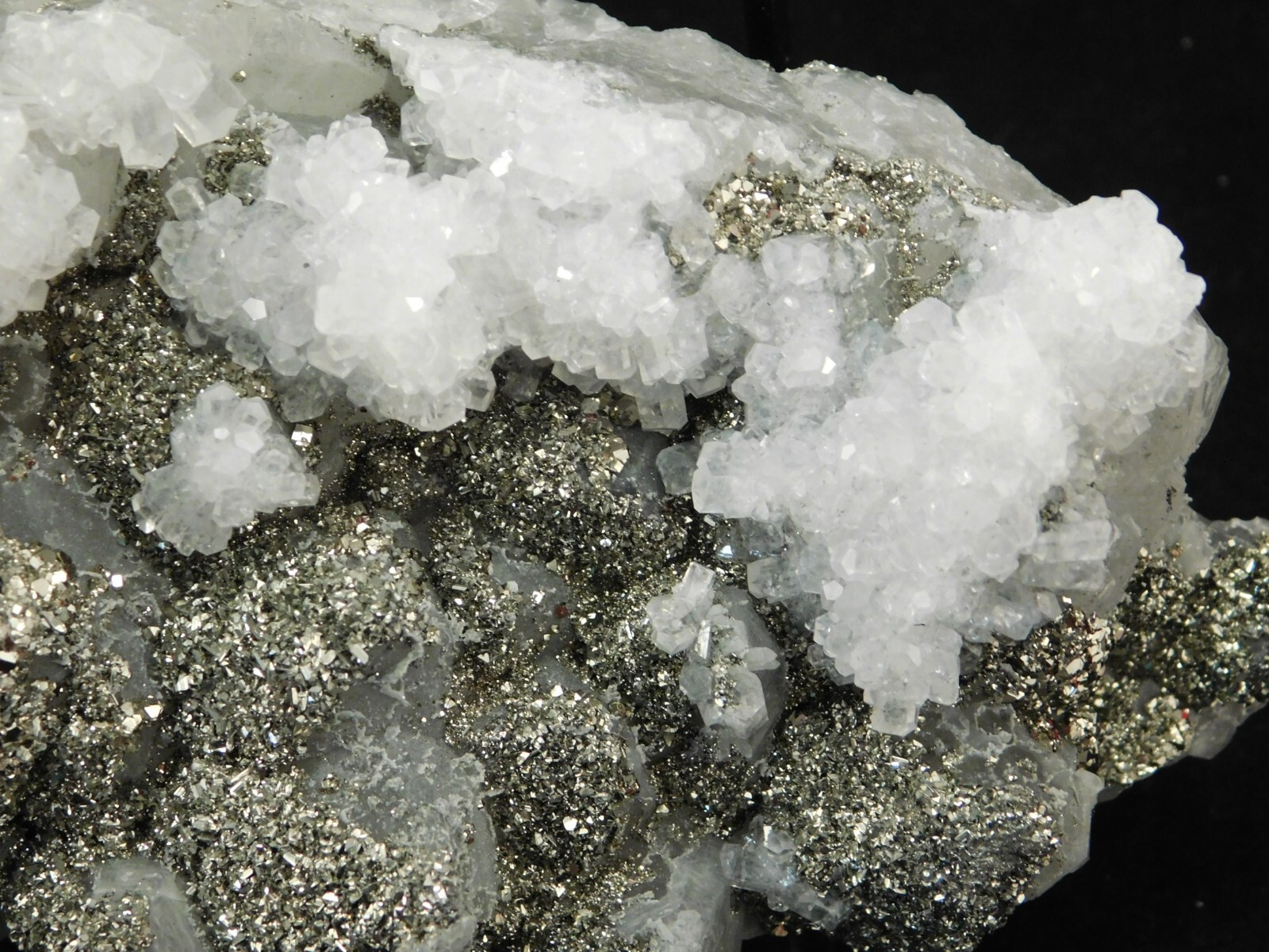 BIG! Pyrite Crystal Cluster on DOGTOOTH Calcite Crystals! From Mexico 1202gr