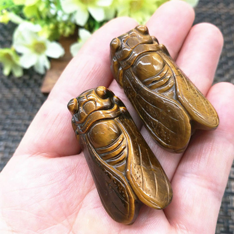 Natural Tiger’s Eye Stone Carved Cicada Quartz Crystal Stone Pendant Healing
