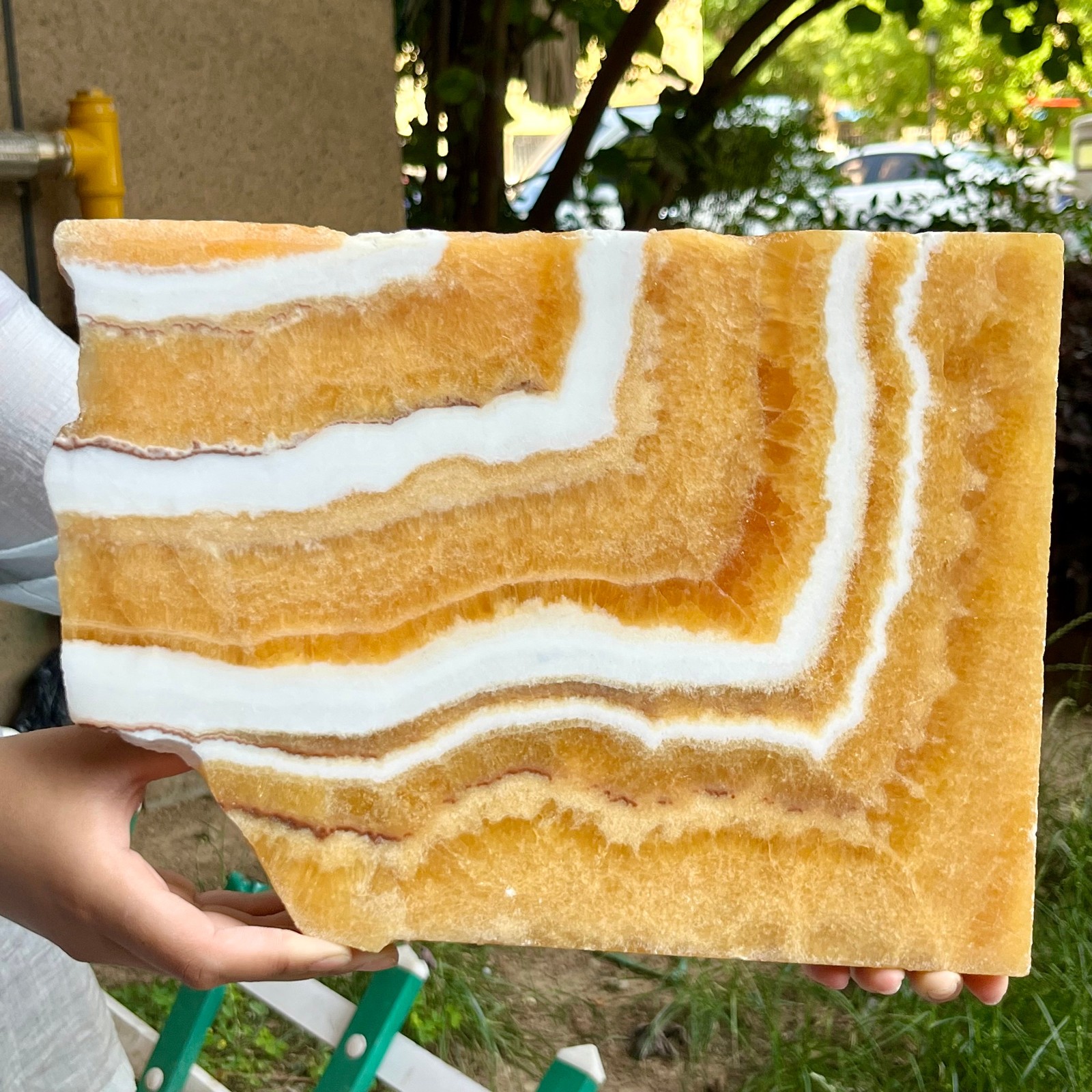 6.2 lb Authentic Yellow Calcite Polished Both Sides Crystal Slice Display