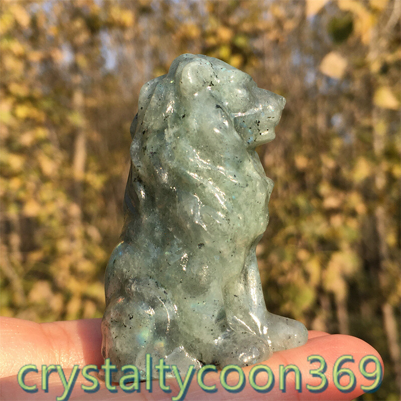 2″+ Natural Labradorite Quartz Carved Lion Crystal Gift Skull Reiki Healing 1pc