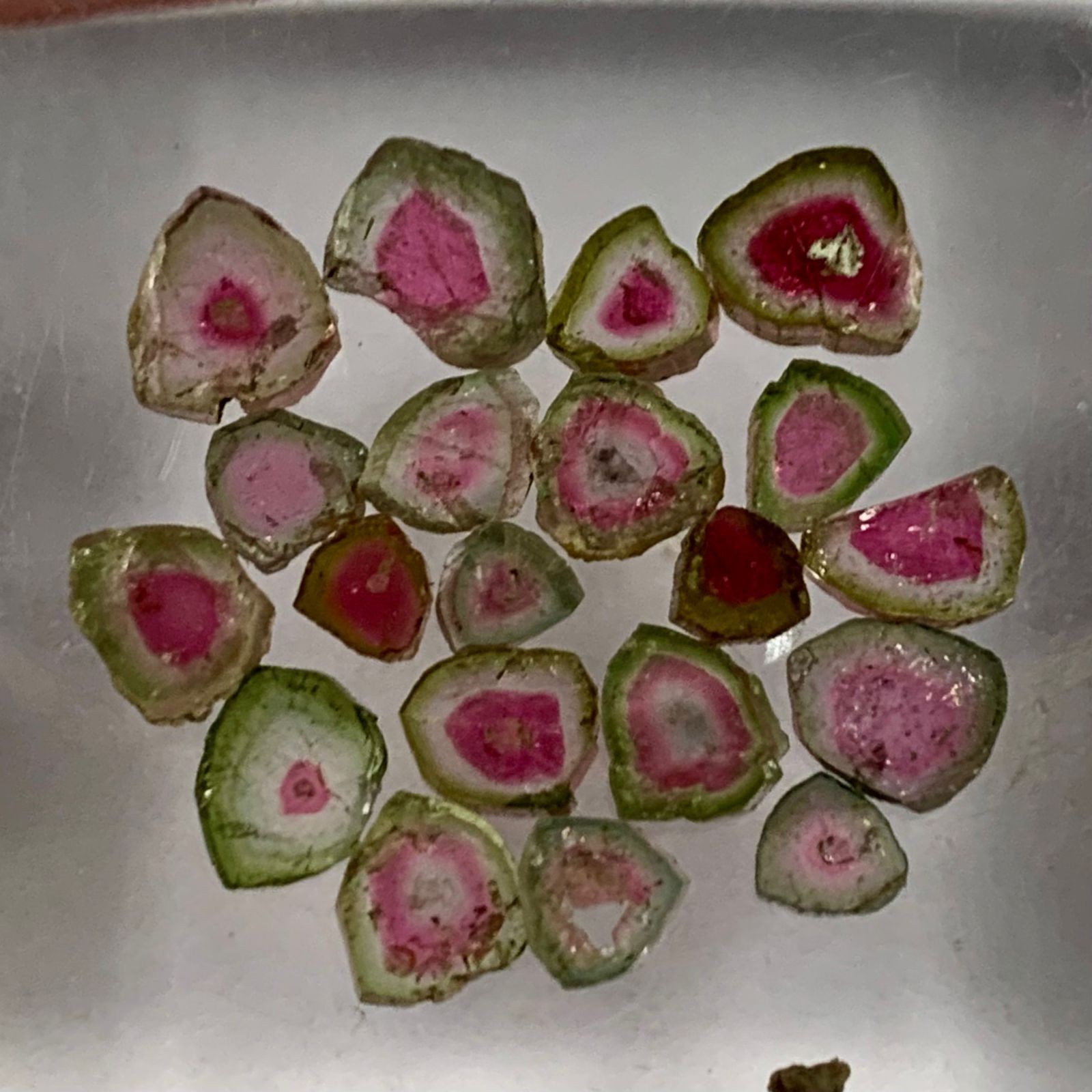13 CT Terminated Natural Watermelon Tourmaline Slices Crystals lot @ Afghanistan