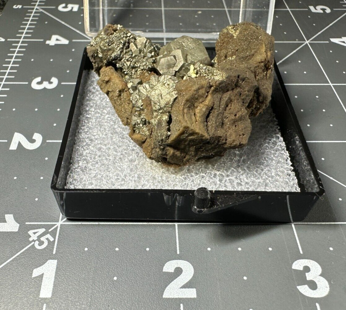 ➤ 1-3/4 Inch PYRITE CRYSTAL CLUSTER Pleasant Ridge Rensselaer Indiana VIDEO➤421
