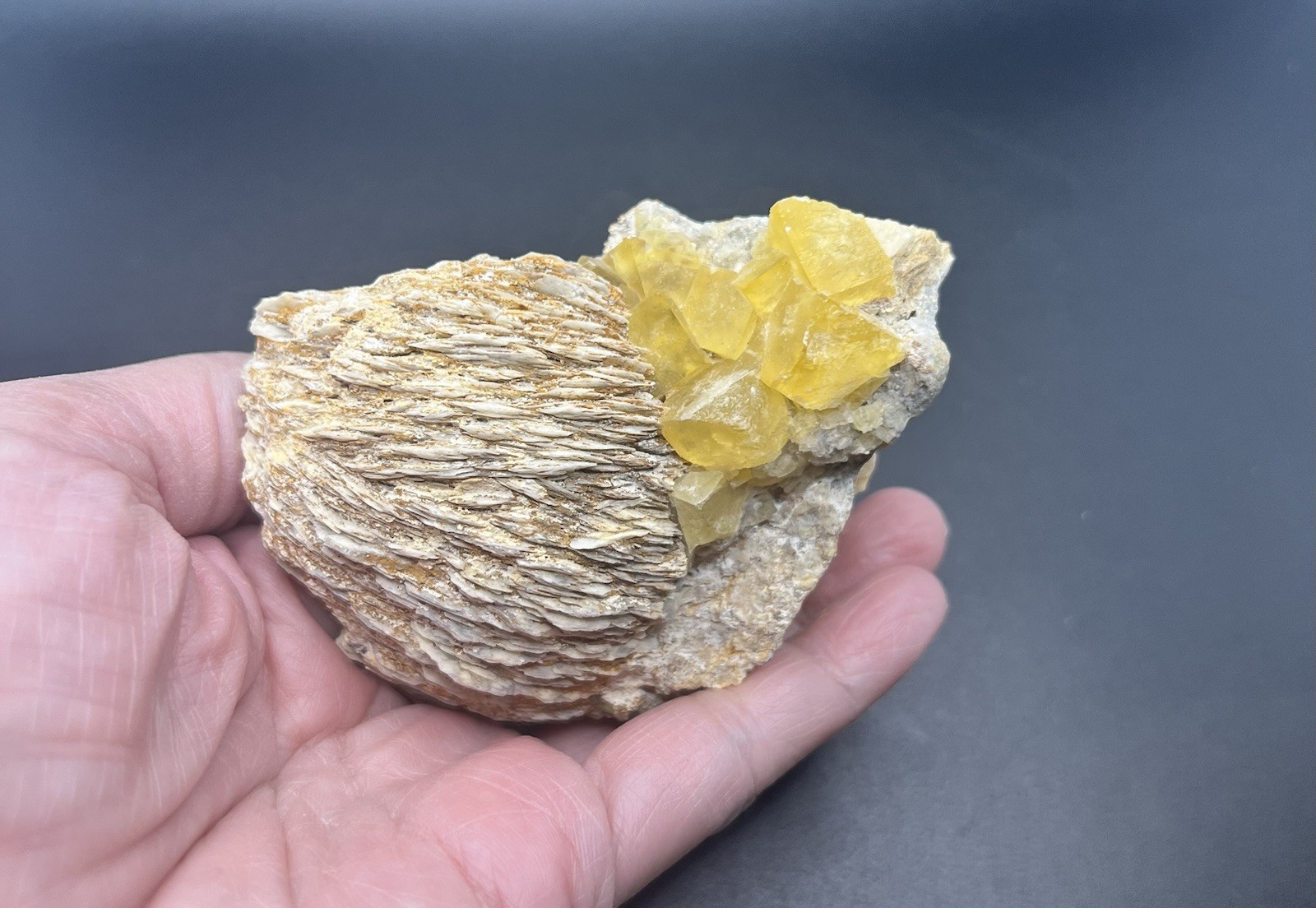 Yellow Fluorite Cubed Stone on Barite from Morocco 309g Over 3in -Fluorescent