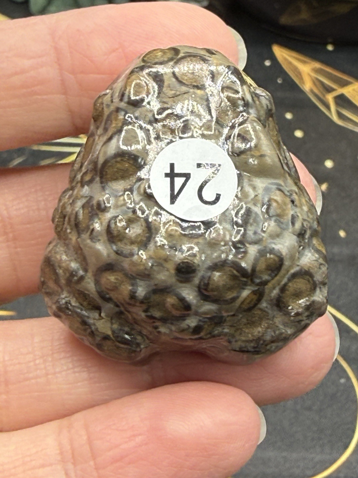 Natural Leopard Skin Japser Baby Toads O.M.G cute & Life like! Free shipping