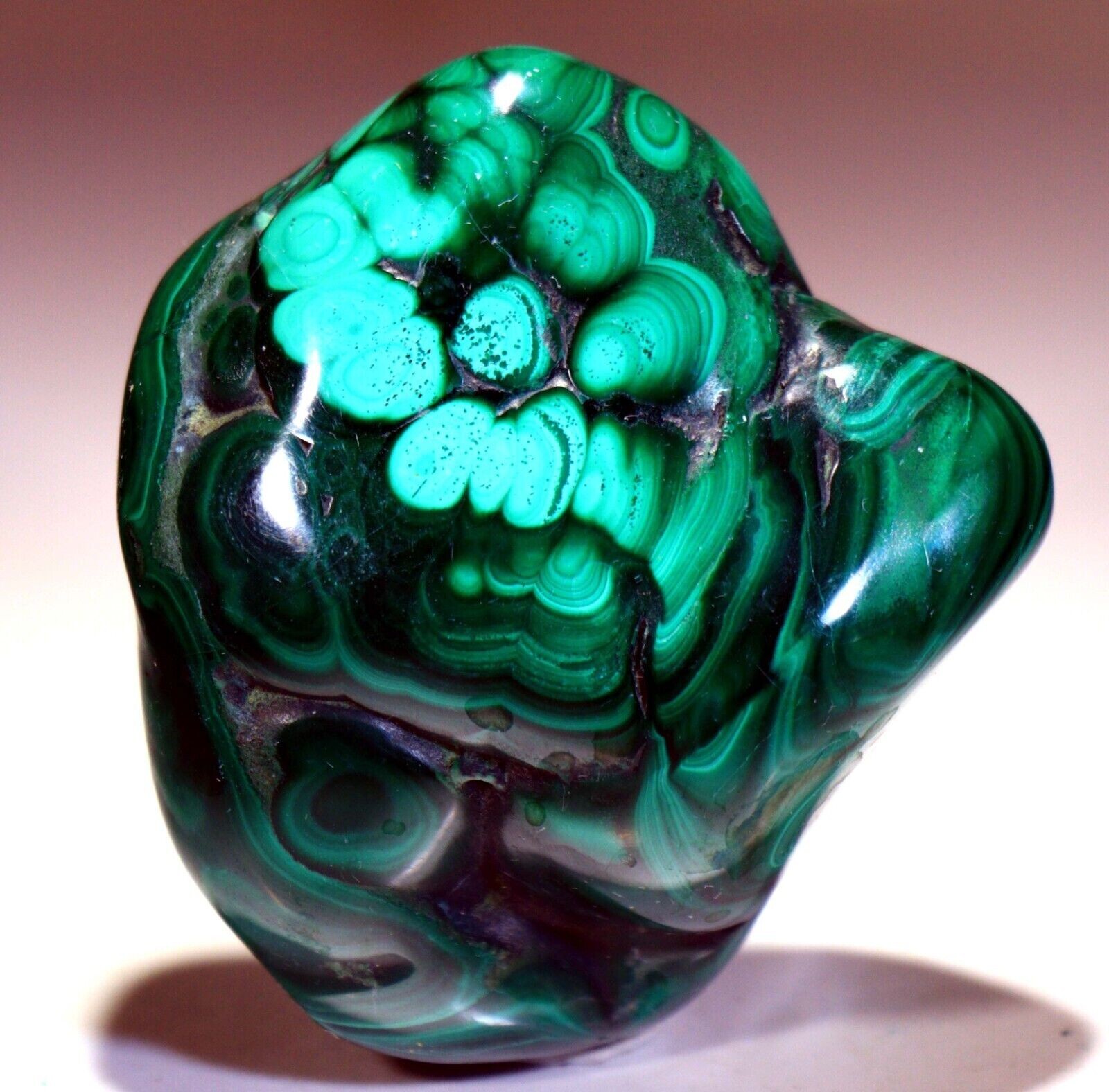 2.5″ Natural 5.7 oz Top Quality Polished Bull’s Eye Malachite, Congo!