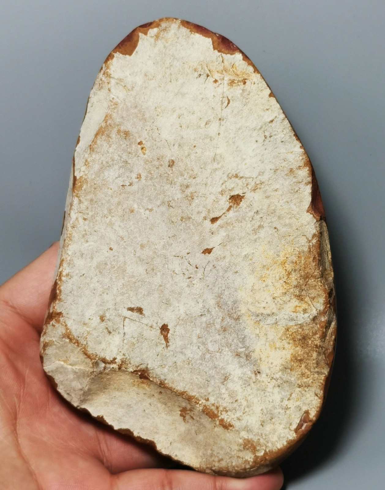 Rare Polished Polychrome Jasper Freeform Reiki Stone Healing