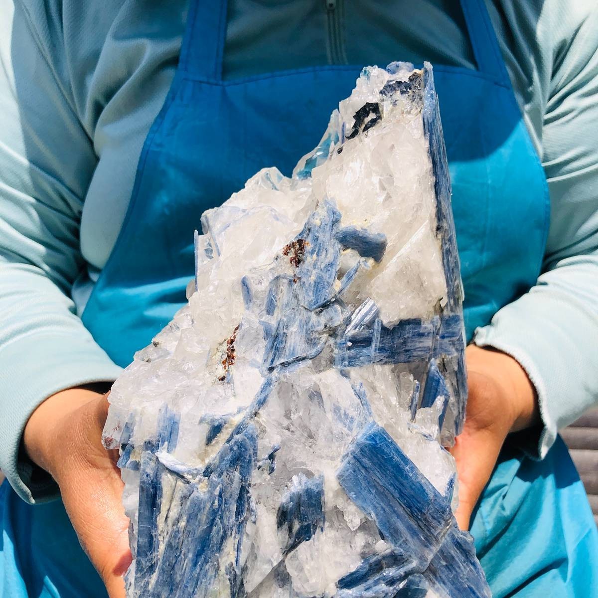 9.46LB Natural Blue Kyanite Cluster with Clear Quartz Matrix Crystal Specimen