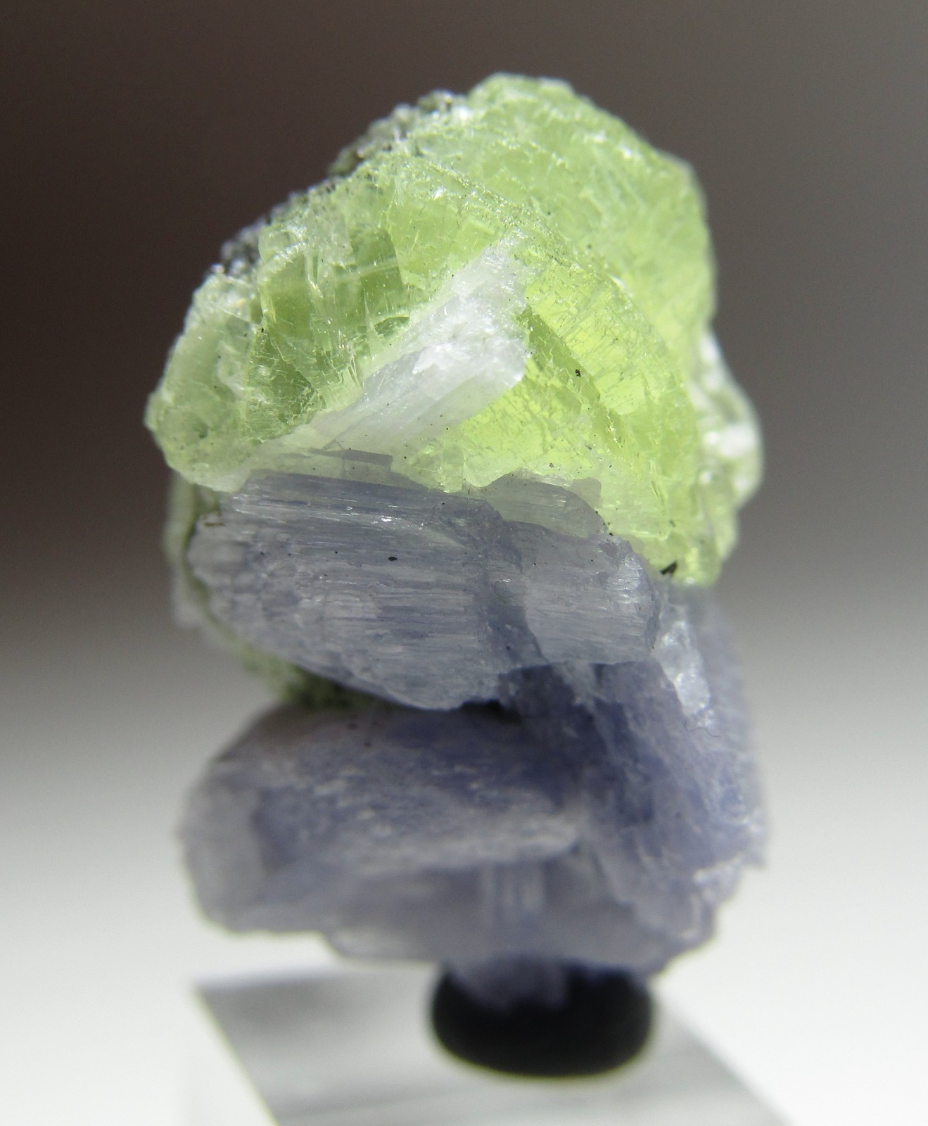 MAGICAL RARITY TANZANITE ON PREHNITE CRYSTAL!!! TANZANIA NEW FIND