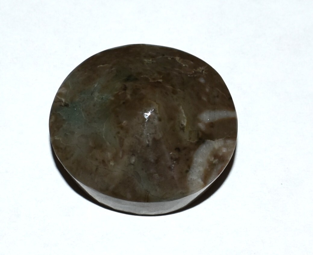 Natural Flowering Jade Blue Olive and Brown Setting/Display with Setting Options