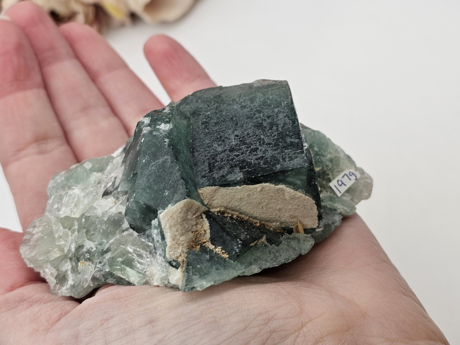 Green Teal Cubic Fluorite Specimen Rare crystal Raw 197g 7.8cm Blue