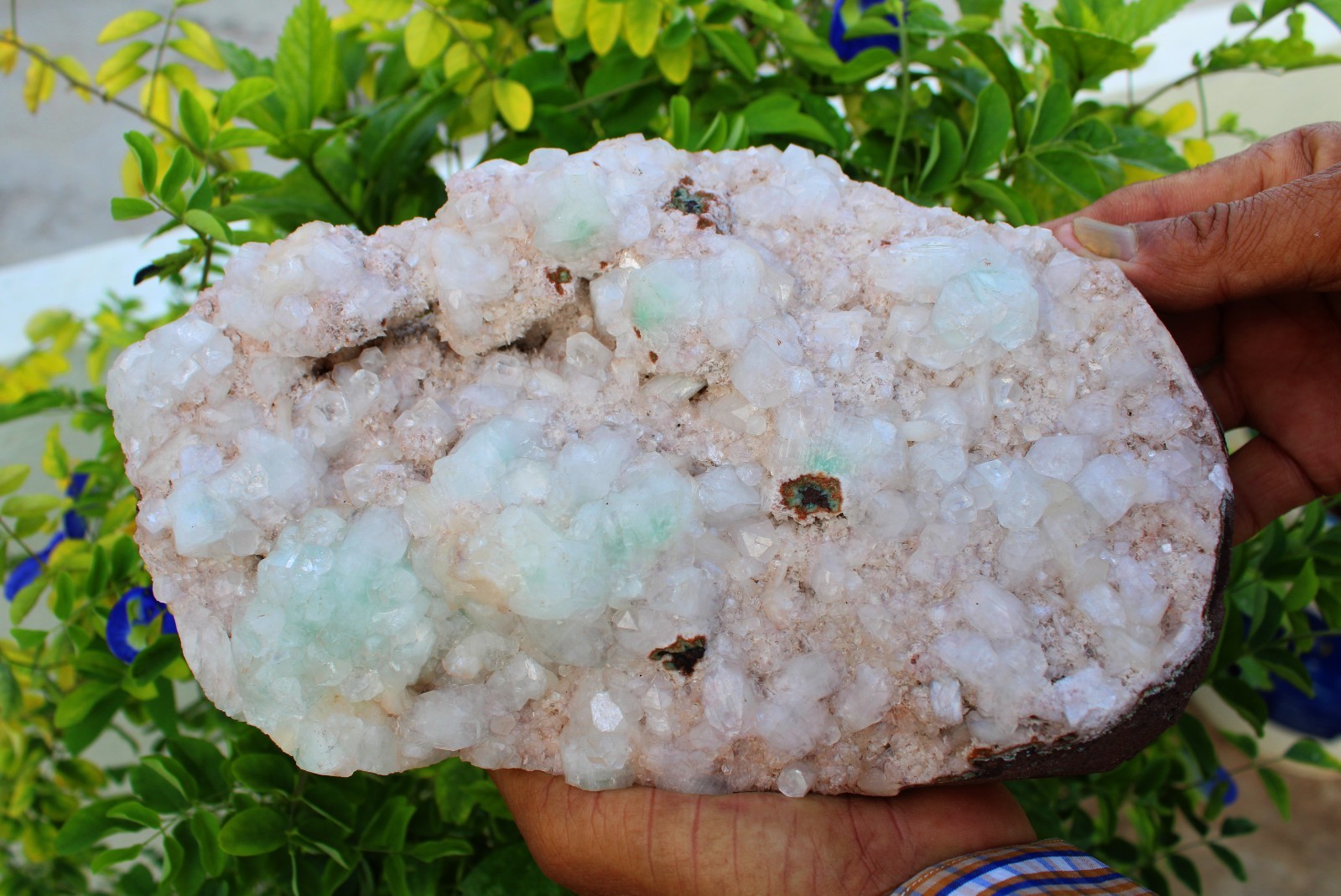 Green Apophyllite Crystals Format On Heulandite Matrix Minerals Specimen