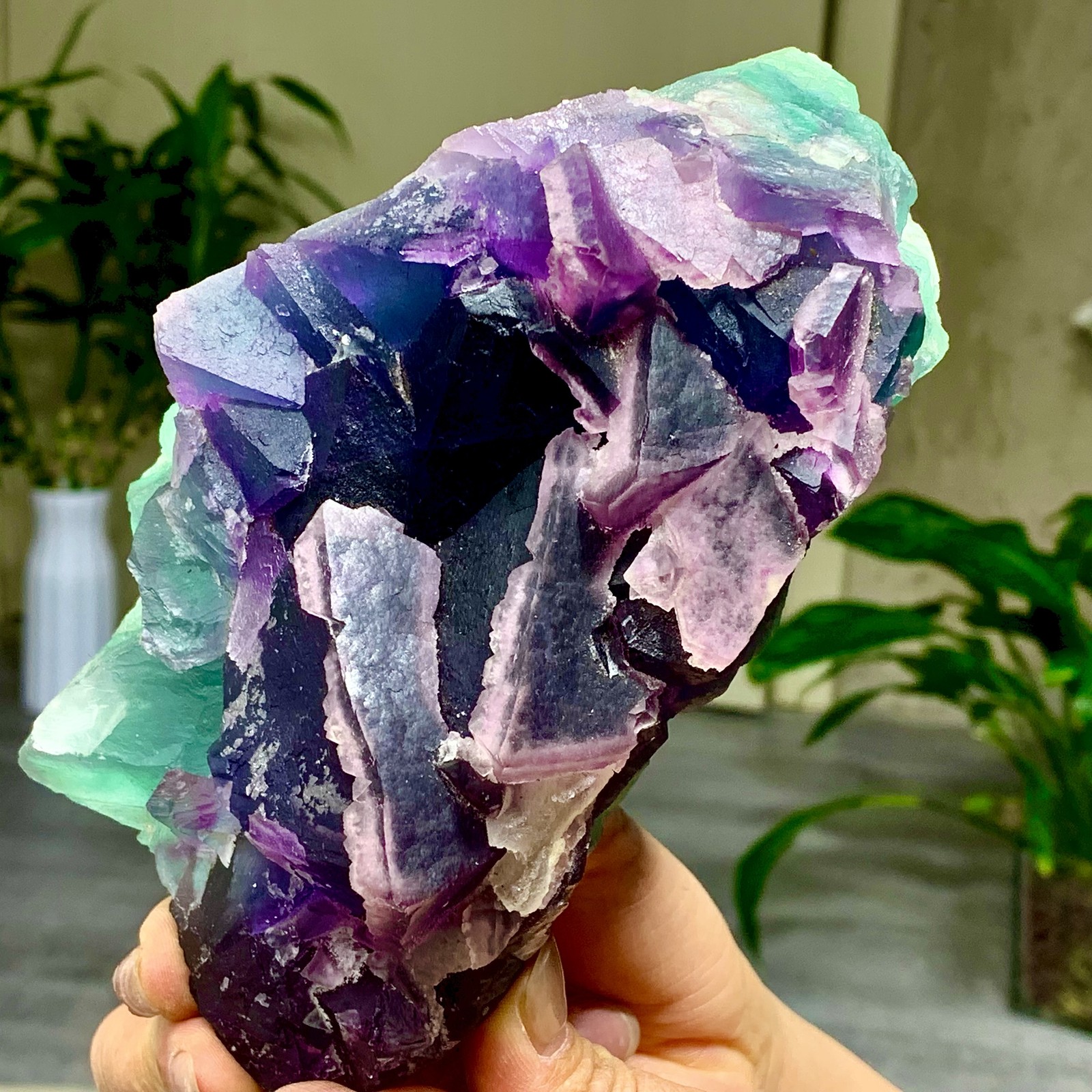 3.49LB Rare transparent purple-green cubic fluorite mineral crystal sample/China