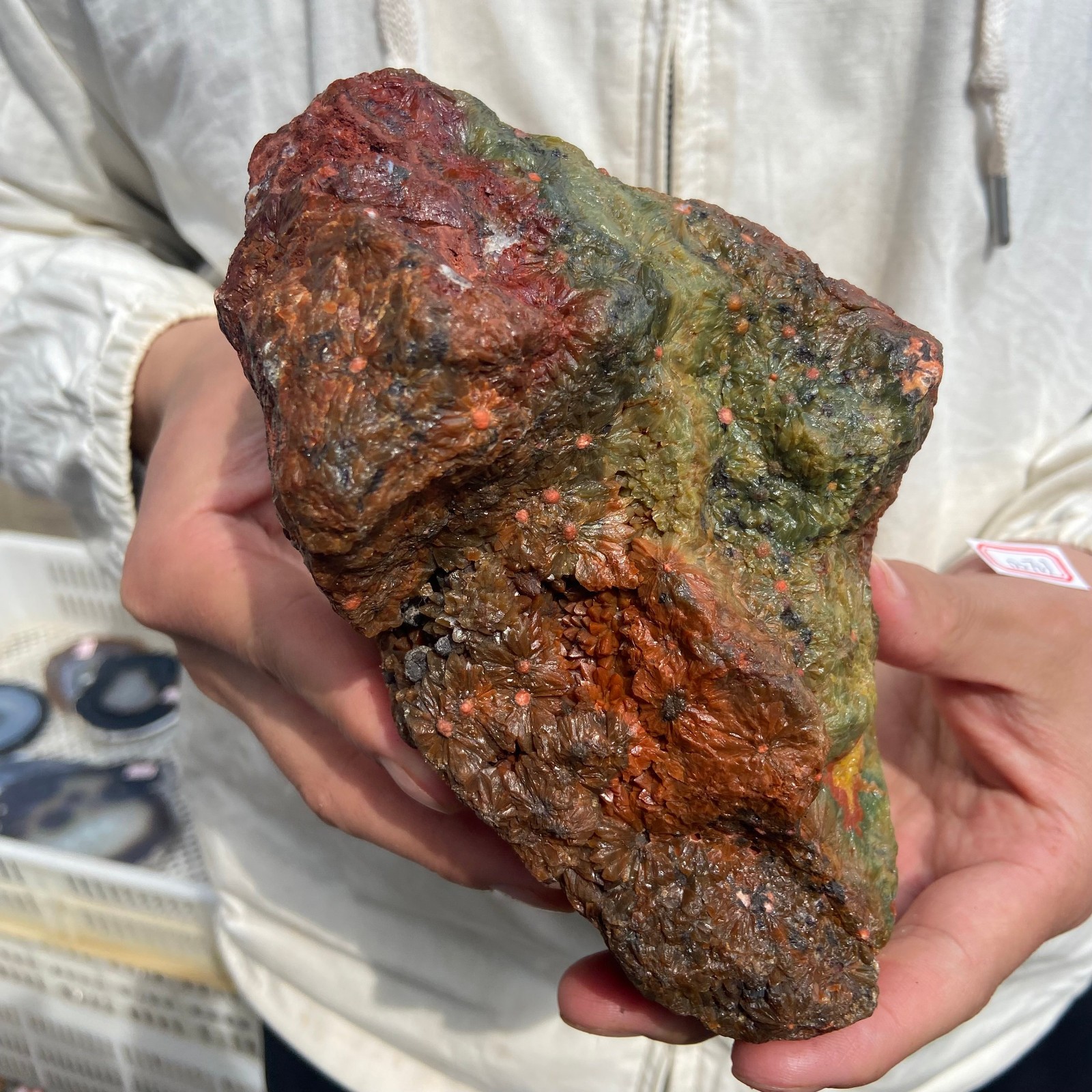 2.7lb Rare Natural colourful ocean jasper quartz crystal rough mineral specimen