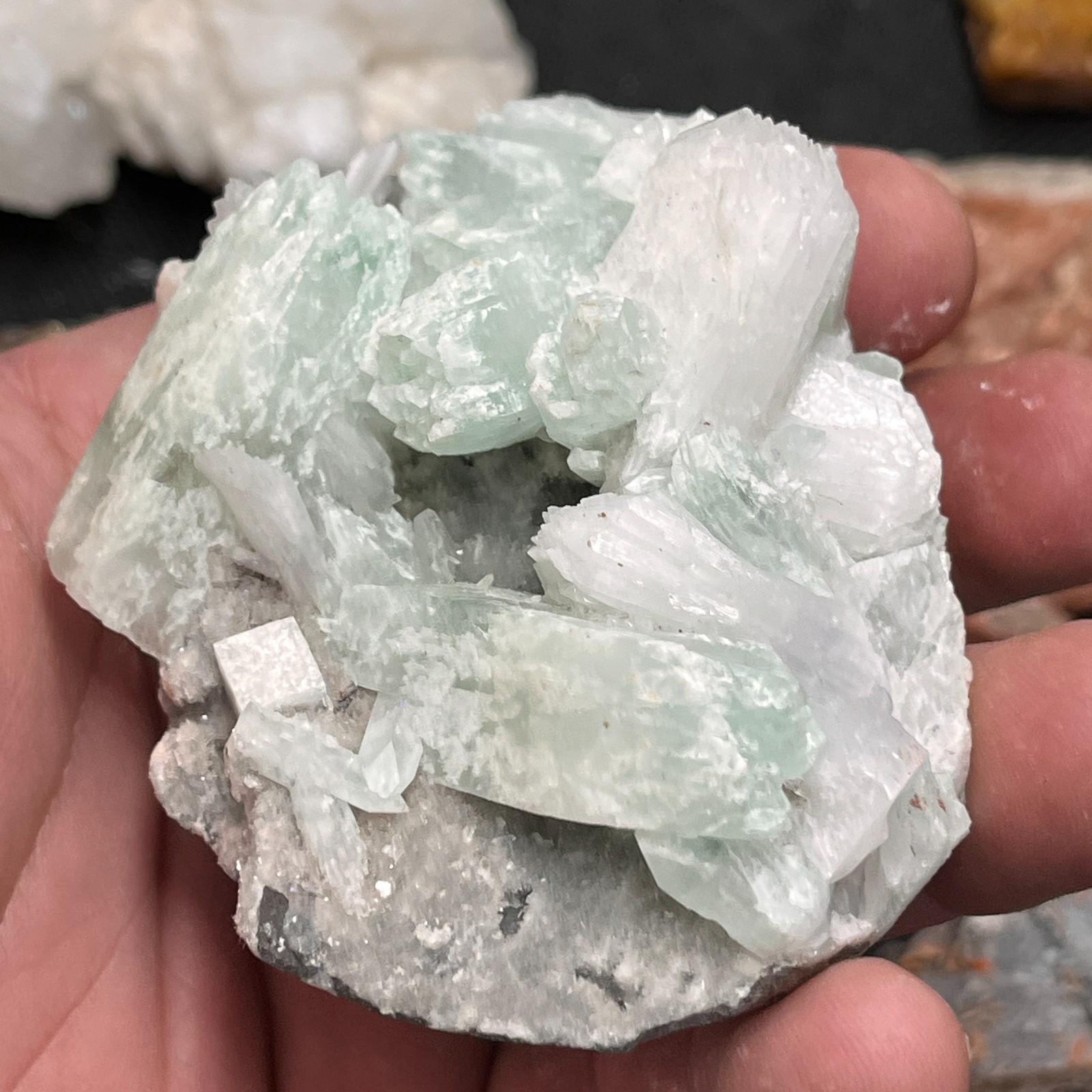 Crystals, Minerals, Natural Stone Specimens – MIXED ESTATE COLLECTION LOT #1198