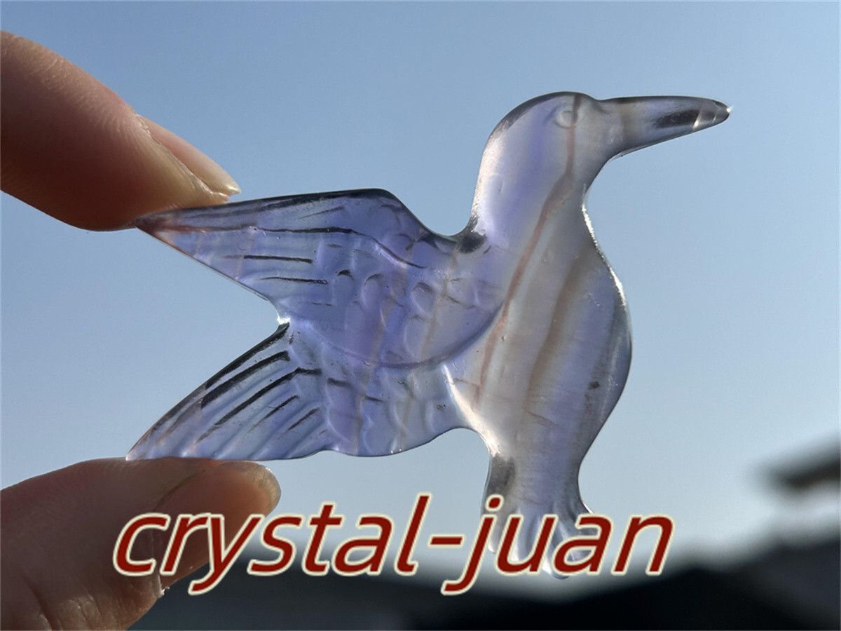 2″+ Natural Fluorite humming bird skull Carved Quartz Crystal skull Reiki heal