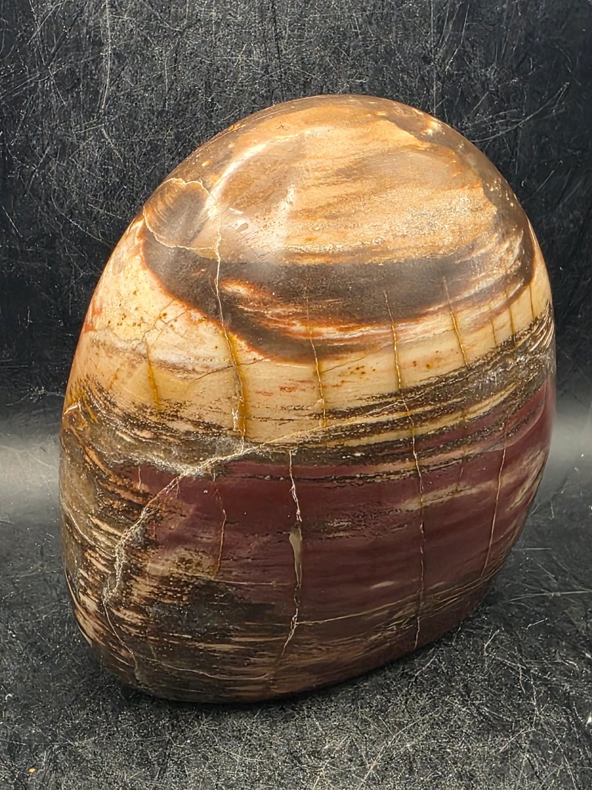 Petrified wood free form! 1.7 pounds, 3.6 inches tall, 3.3″ wide!