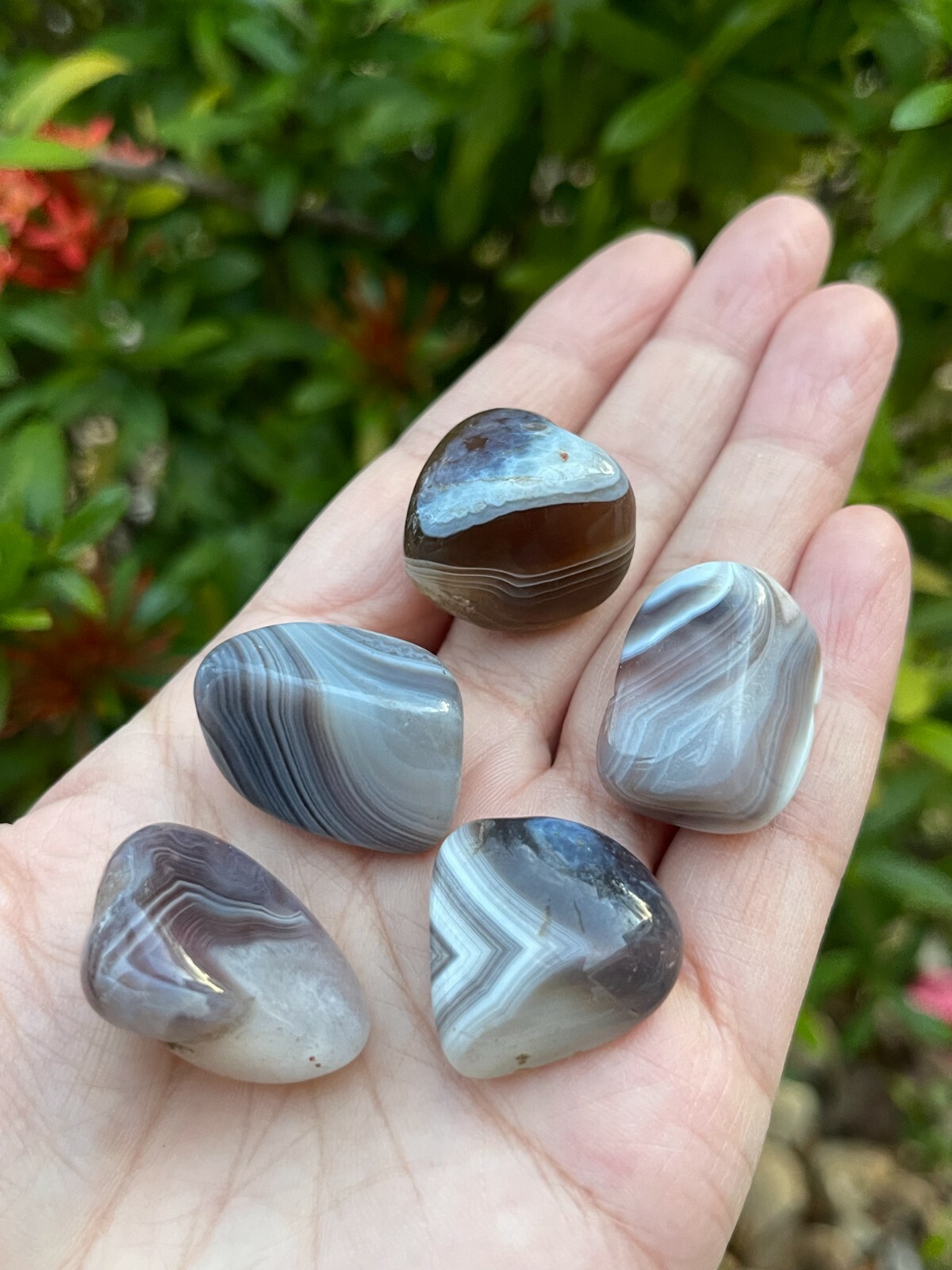 Grade A++ Botswana Agate Tumbled Stones 0.75-1 Inch, Wholesale Bulk Lot
